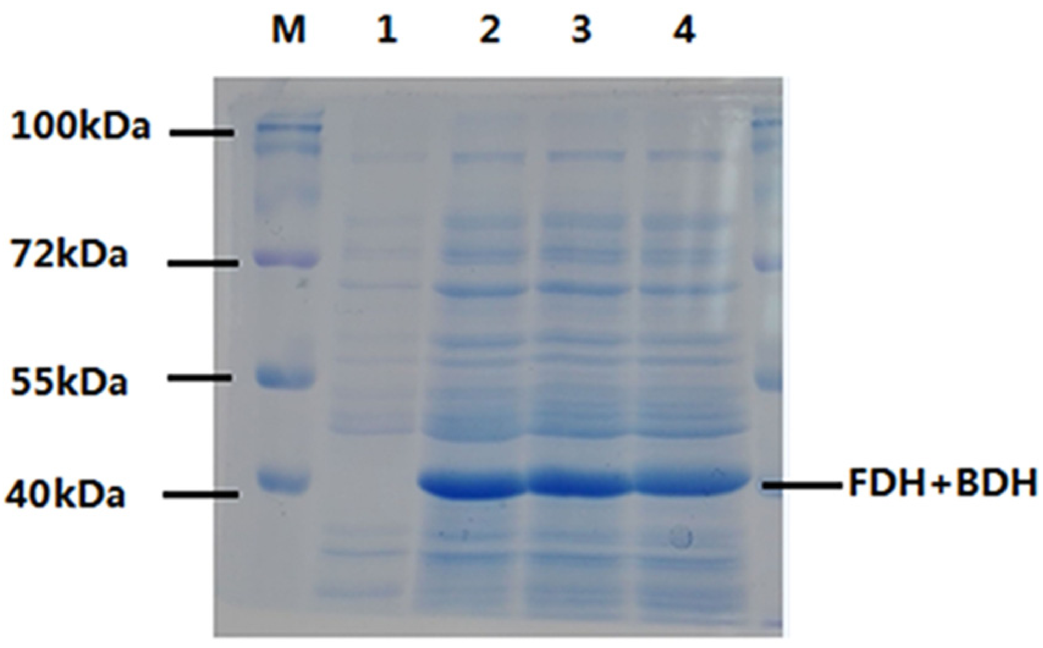 Catalysts 11 01422 g004
