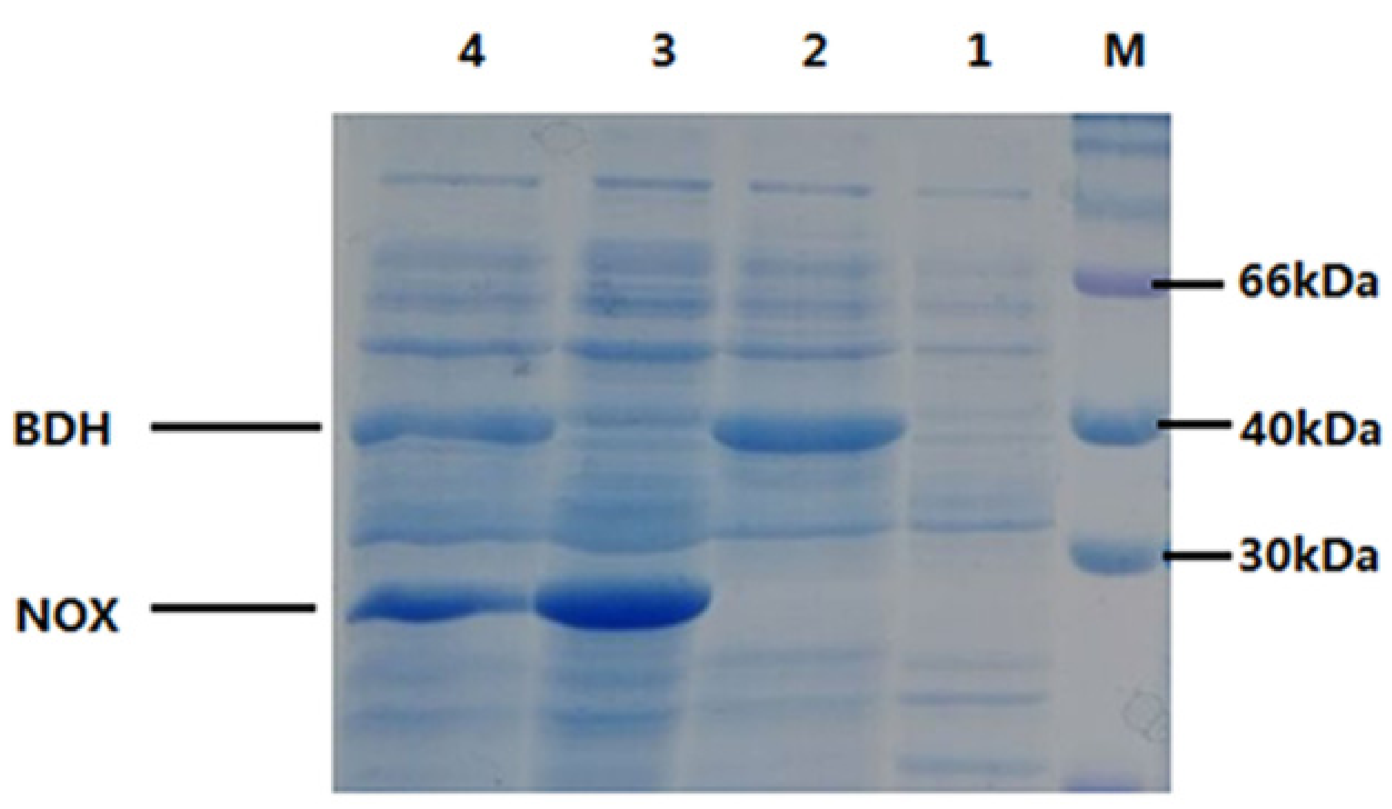 Catalysts 11 01422 g007
