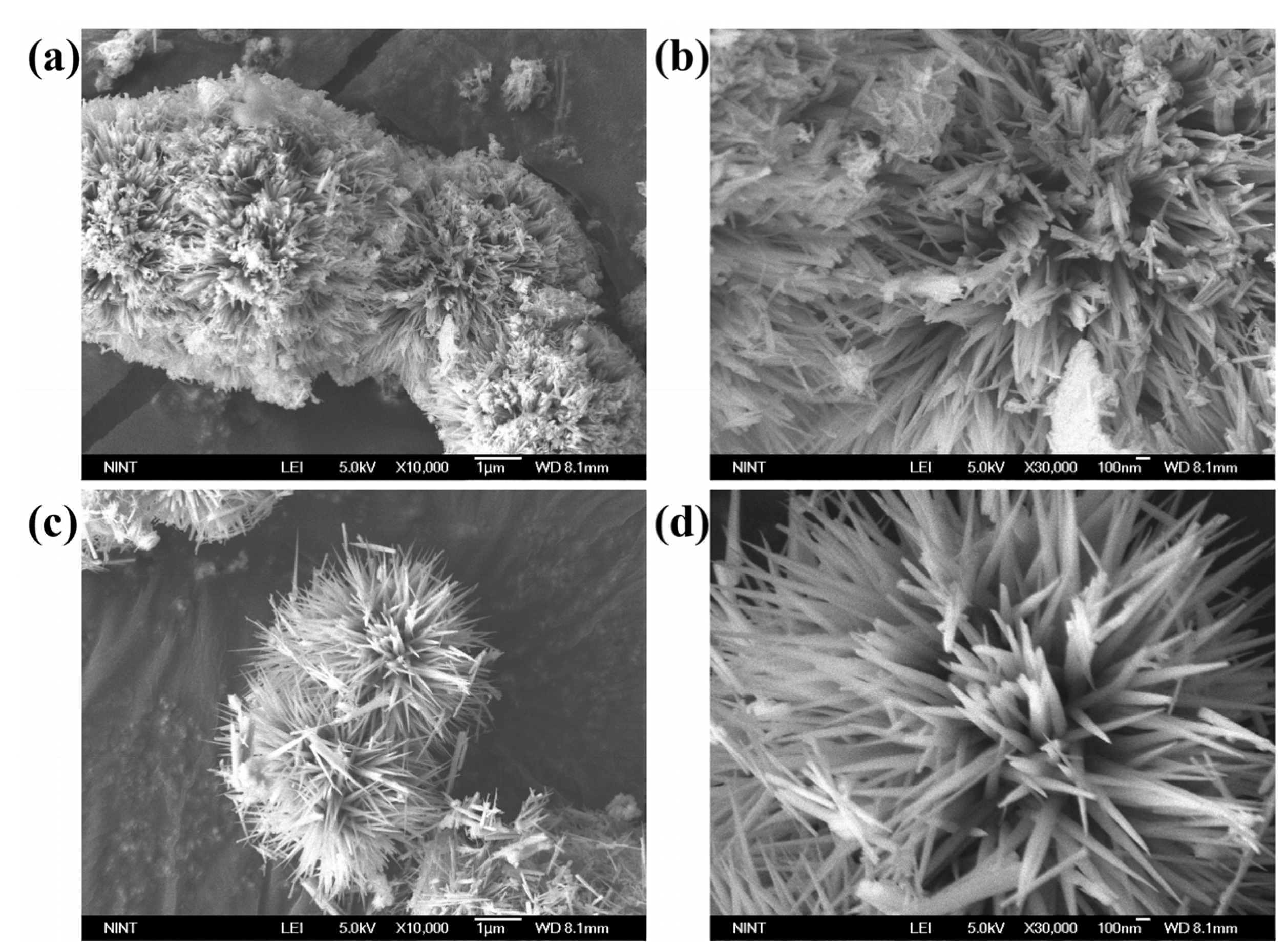 Catalysts 11 01443 g003