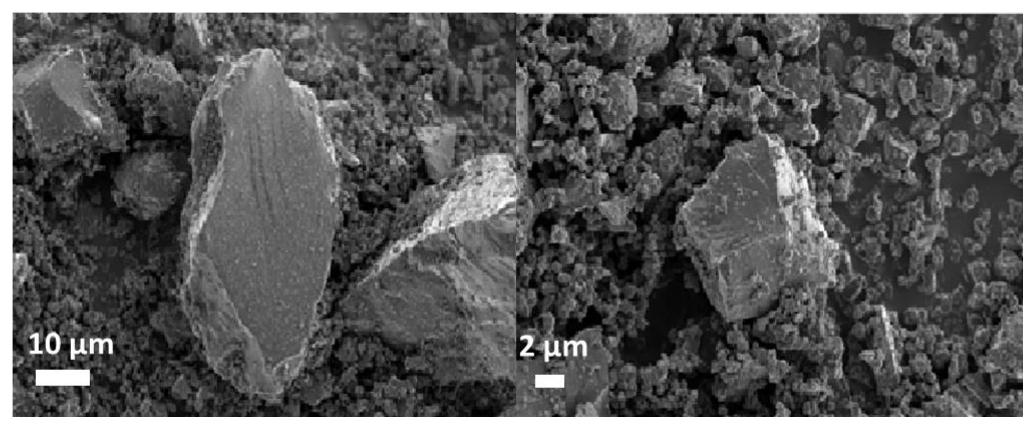 Catalysts 11 01452 g002