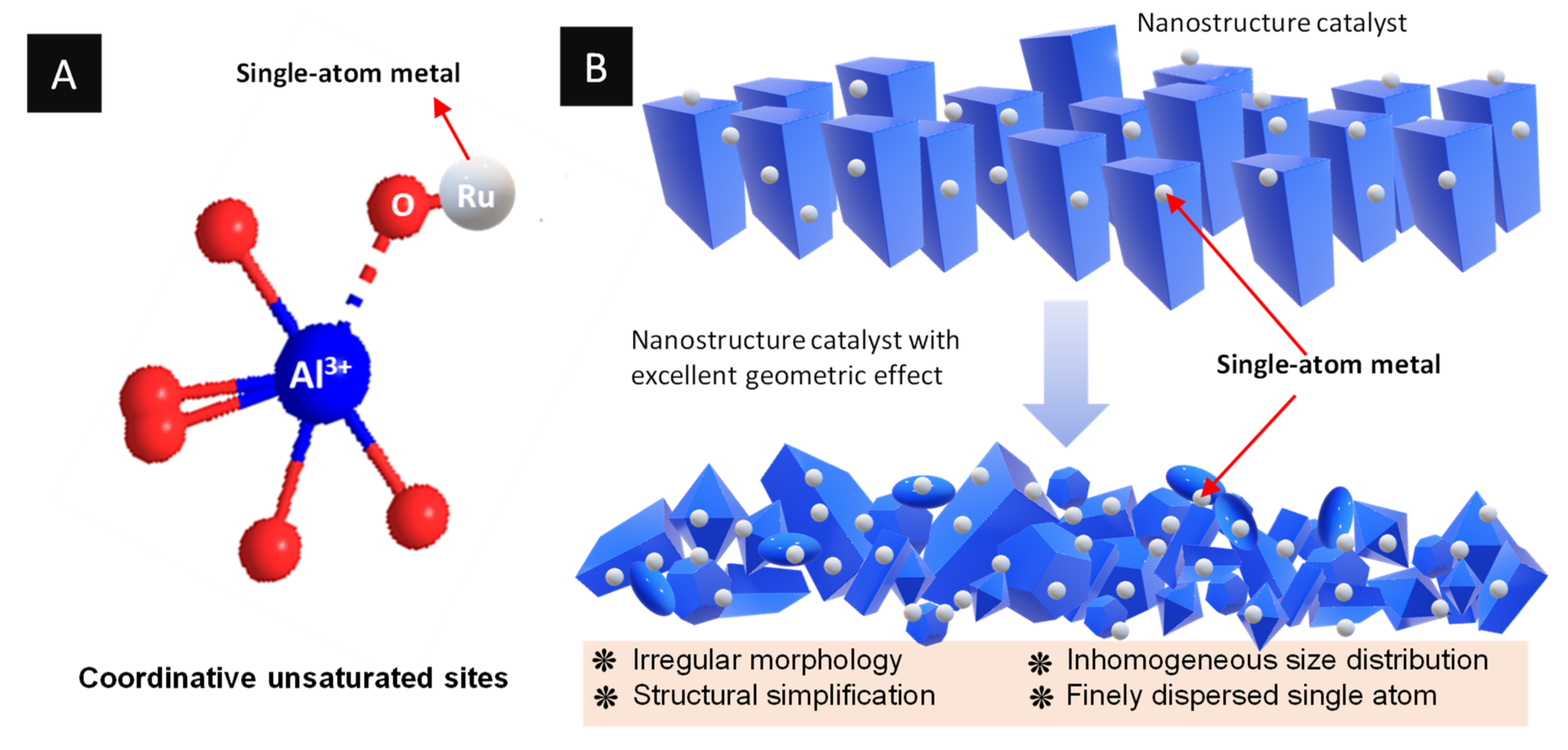 Catalysts | Free Full-Text | Single-Atom Catalysts: A Review Of ...