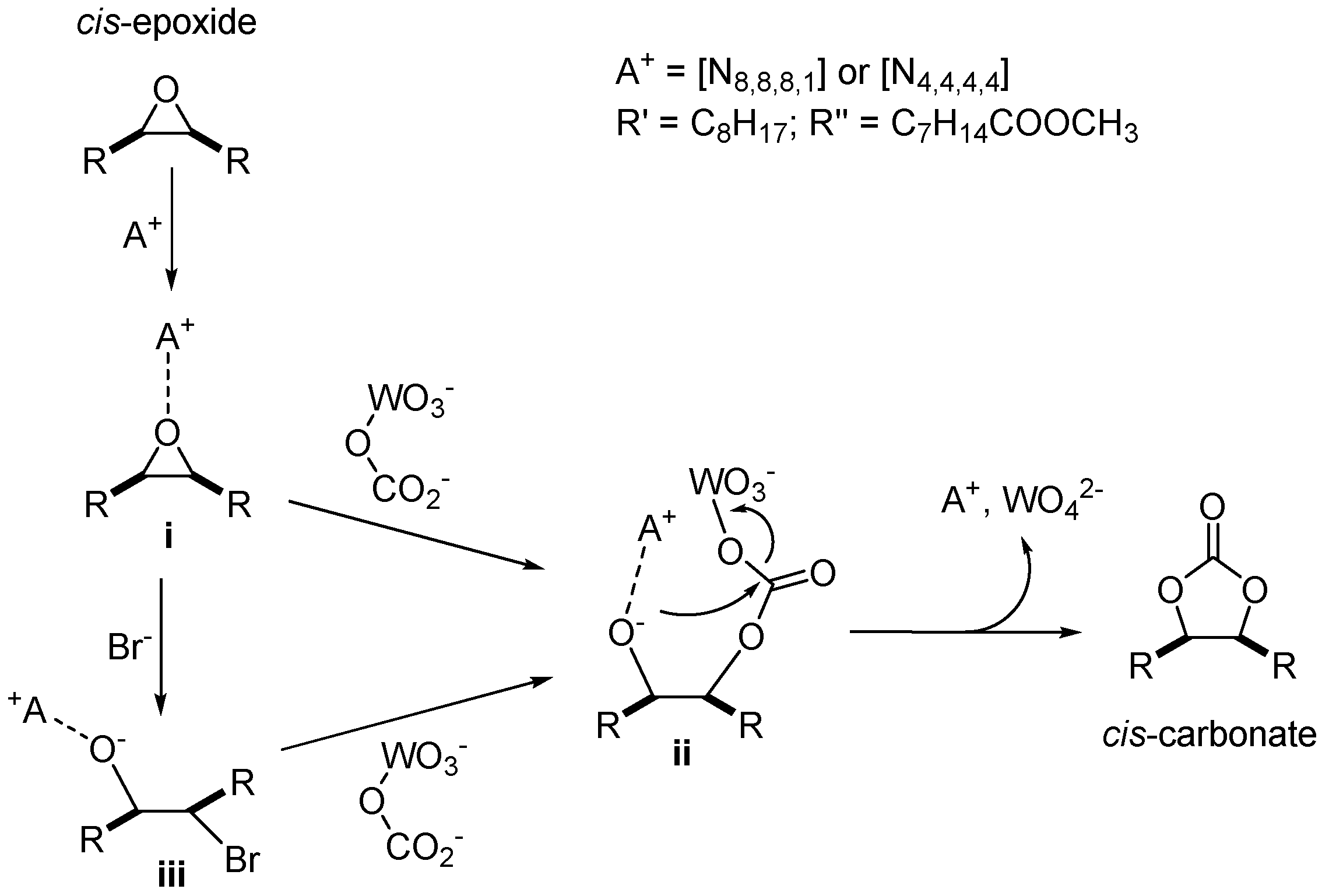 Catalysts 11 01477 sch007