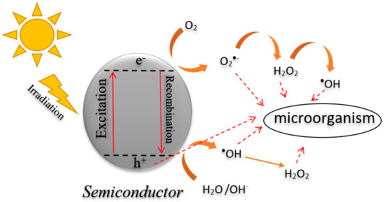 A novel strategy to enhance photocatalytic killing of foodborne