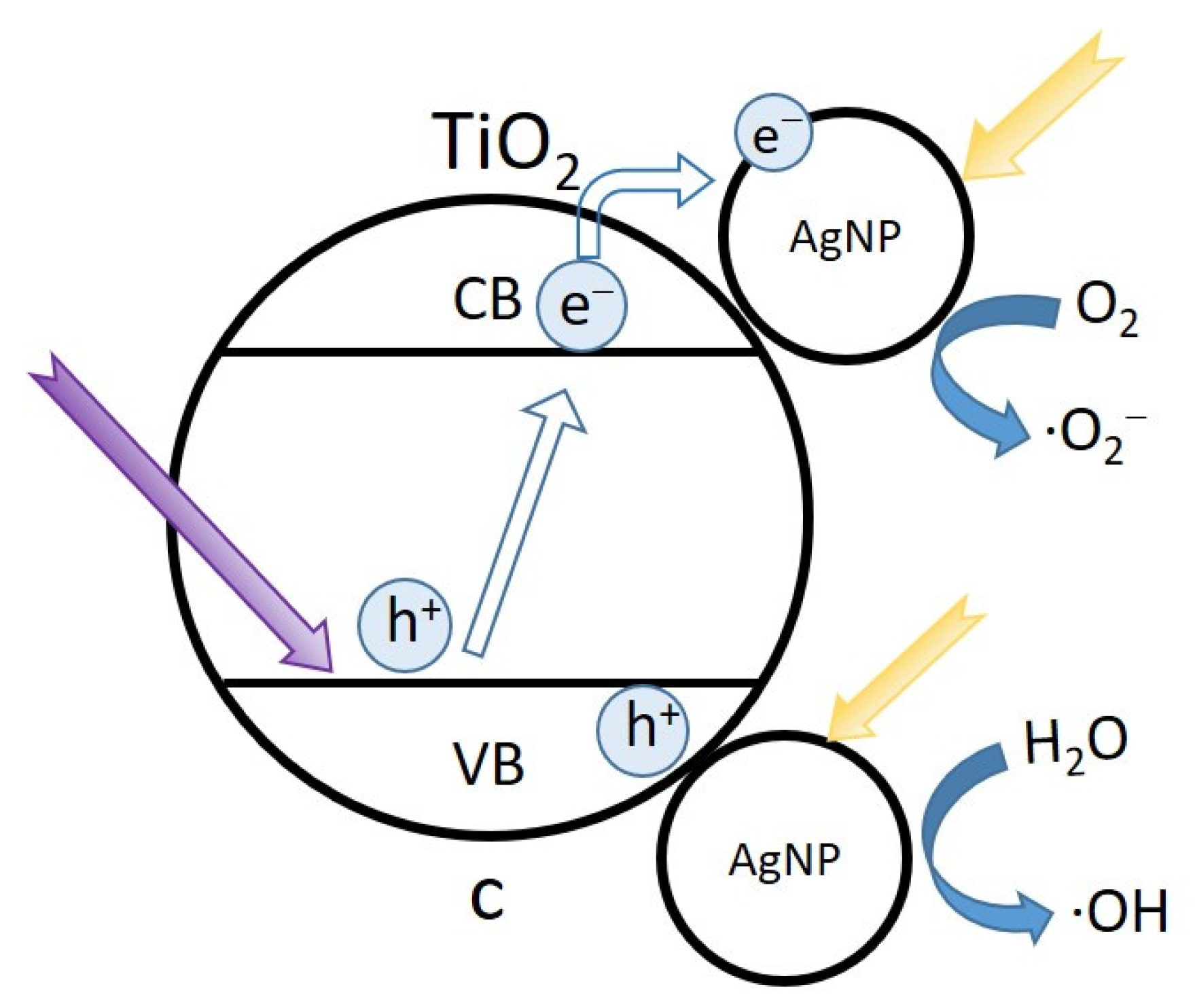 Catalysts 11 01499 g011