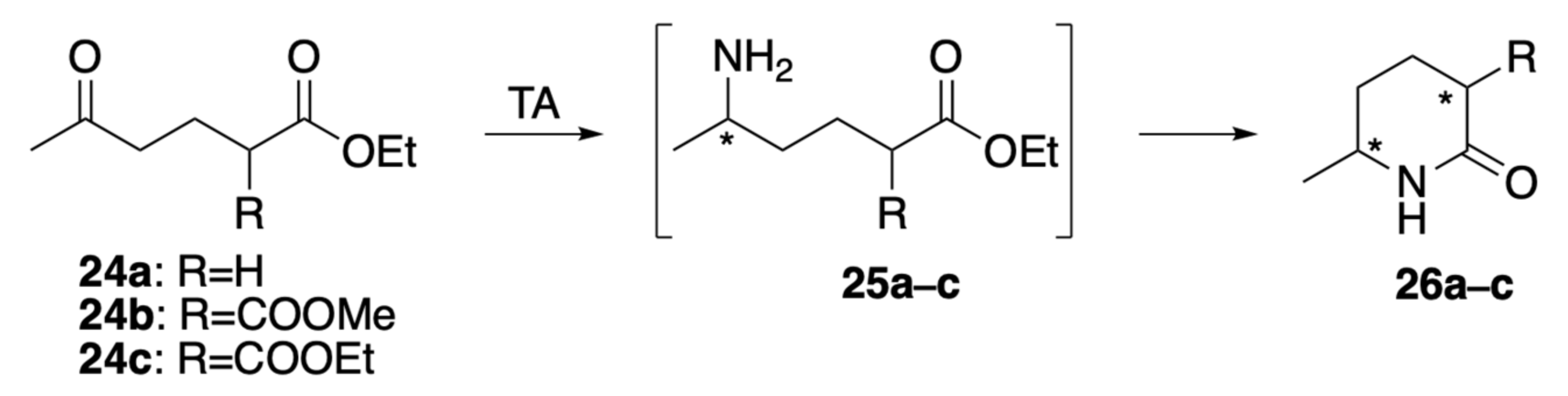 Catalysts 11 01501 g005