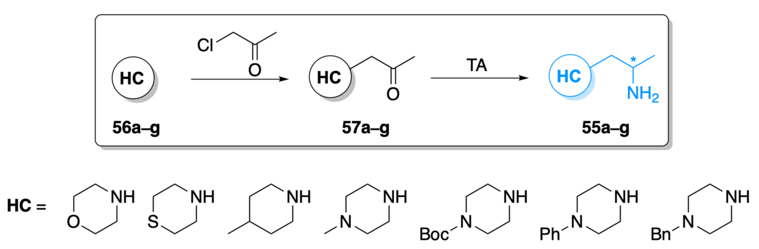Catalysts 11 01501 g012