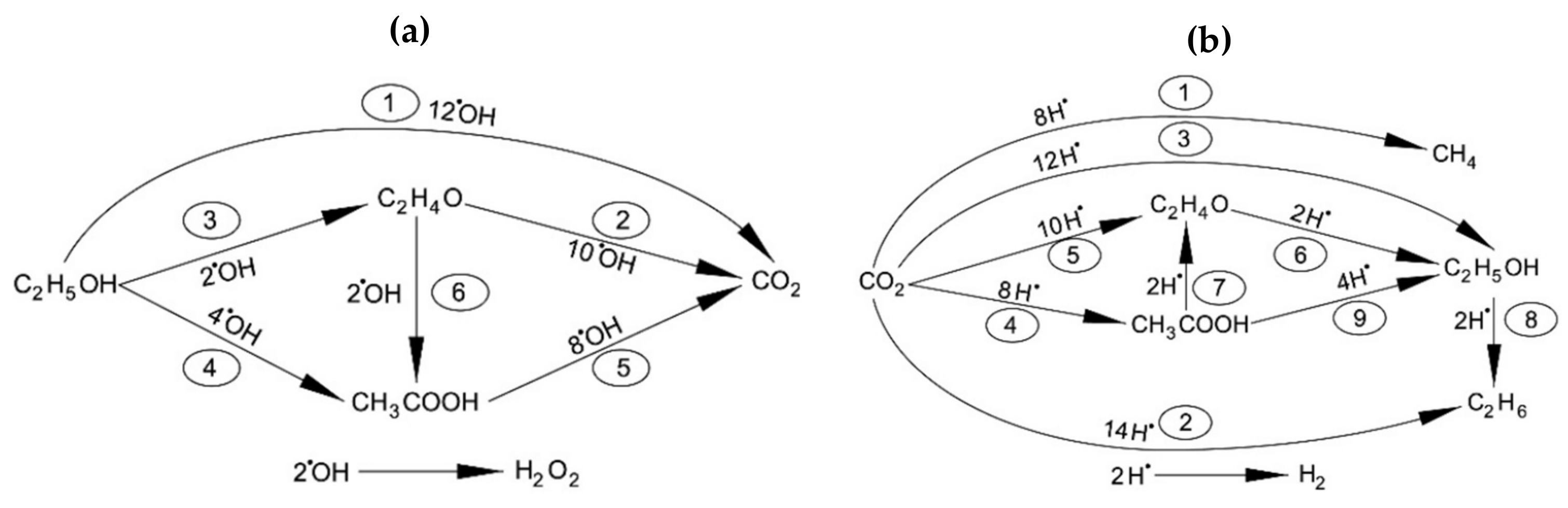 Catalysts 11 01505 g011