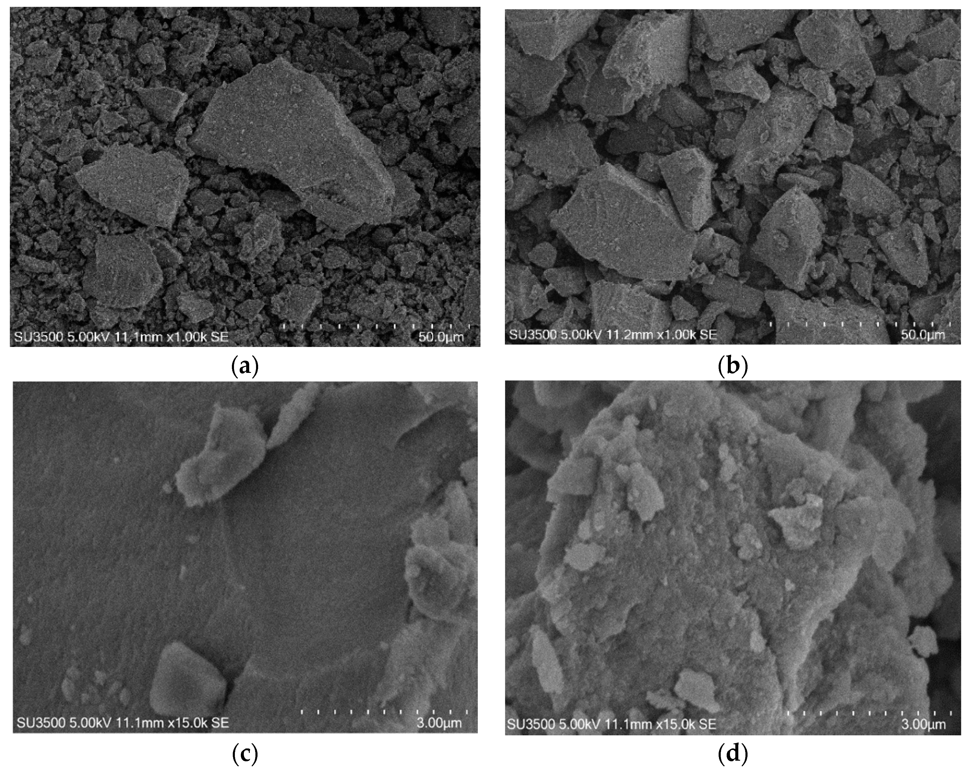 Catalysts 11 01511 g005