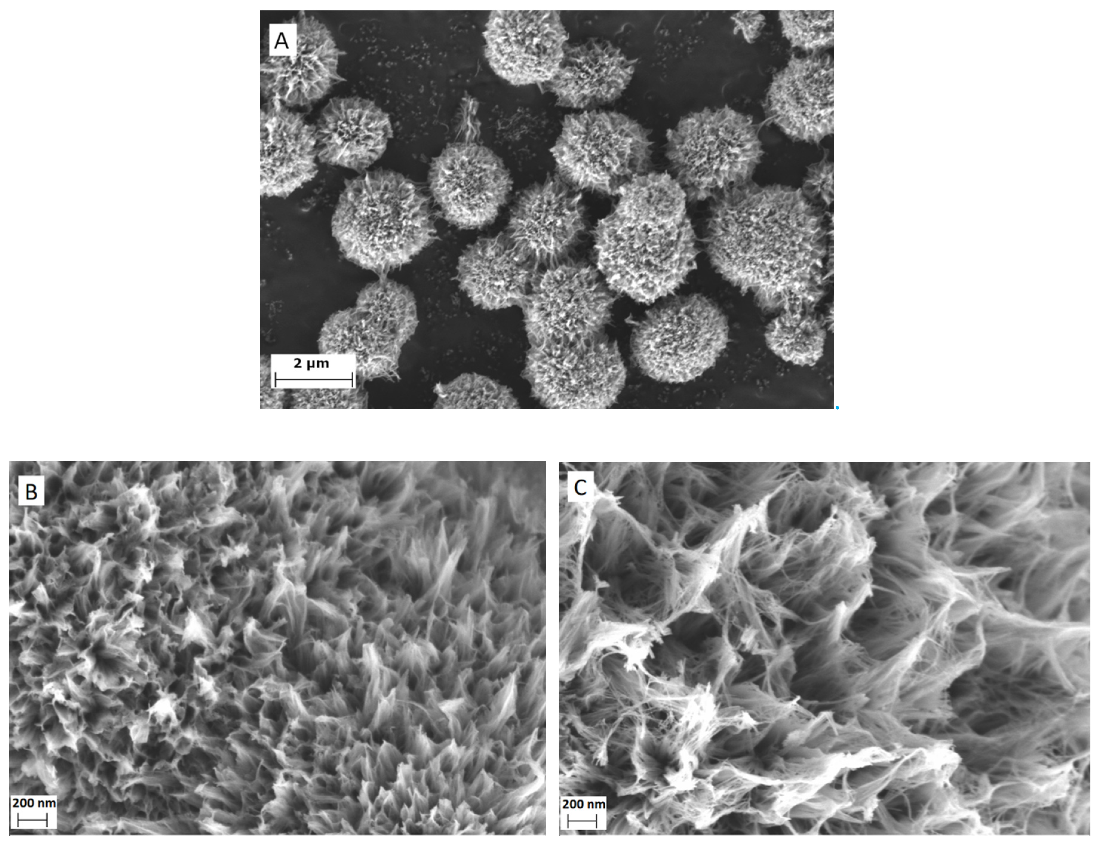 Catalysts 11 01512 g002a