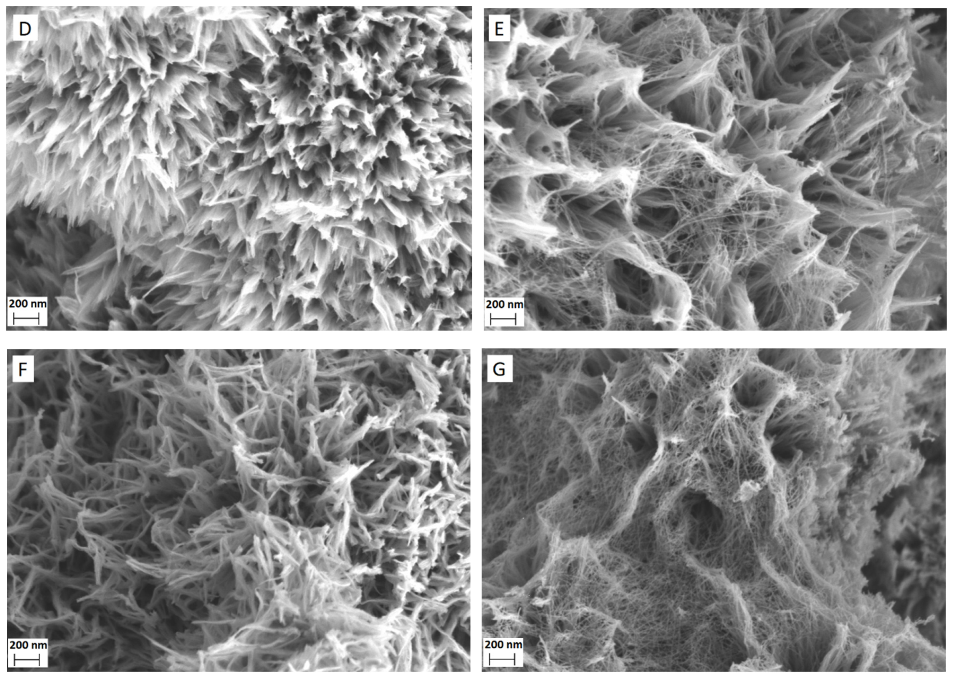 Catalysts 11 01512 g002b