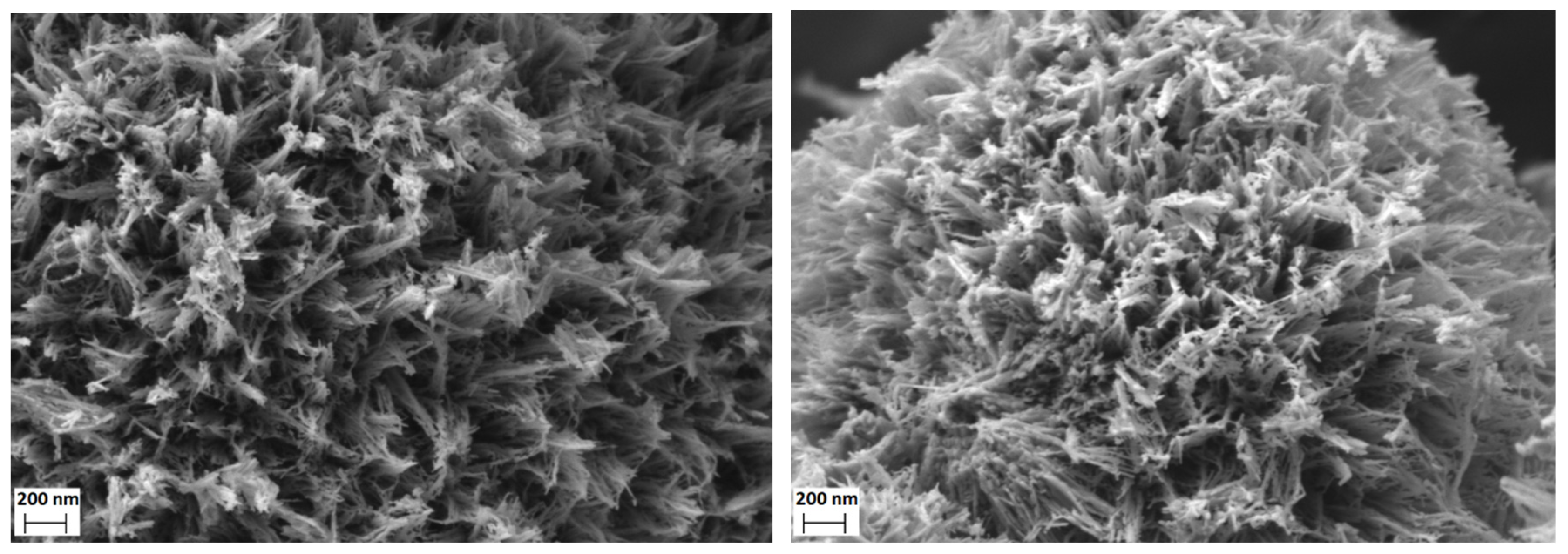 Catalysts 11 01512 g005
