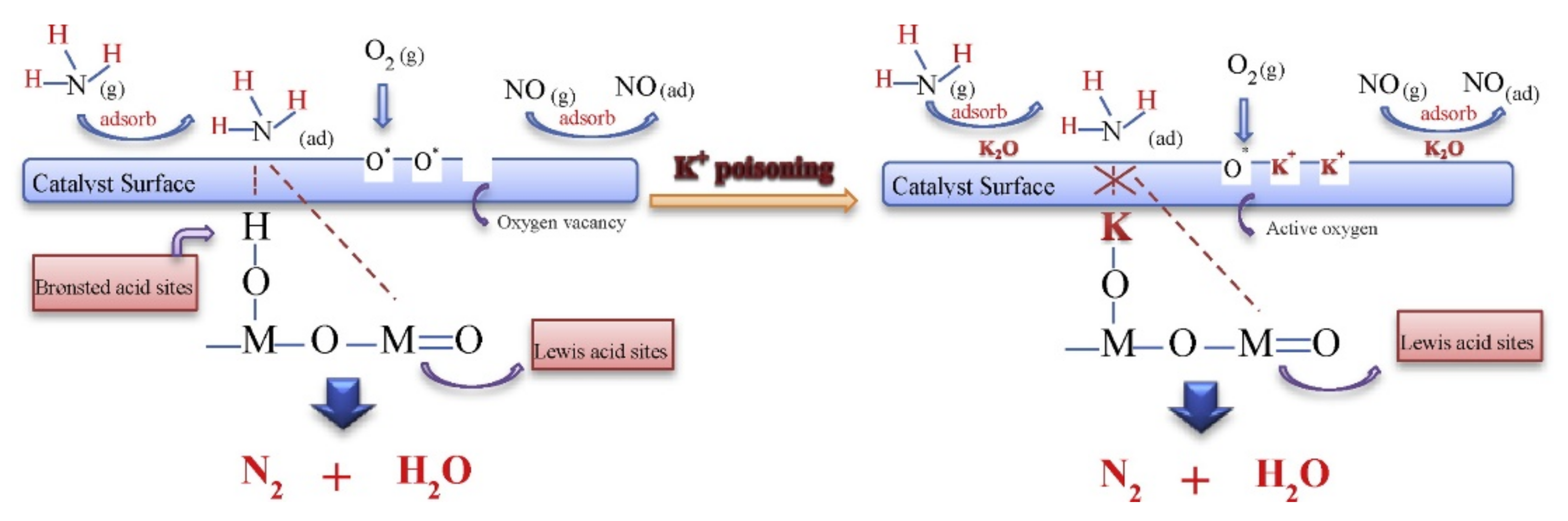Catalysts 11 01519 g006