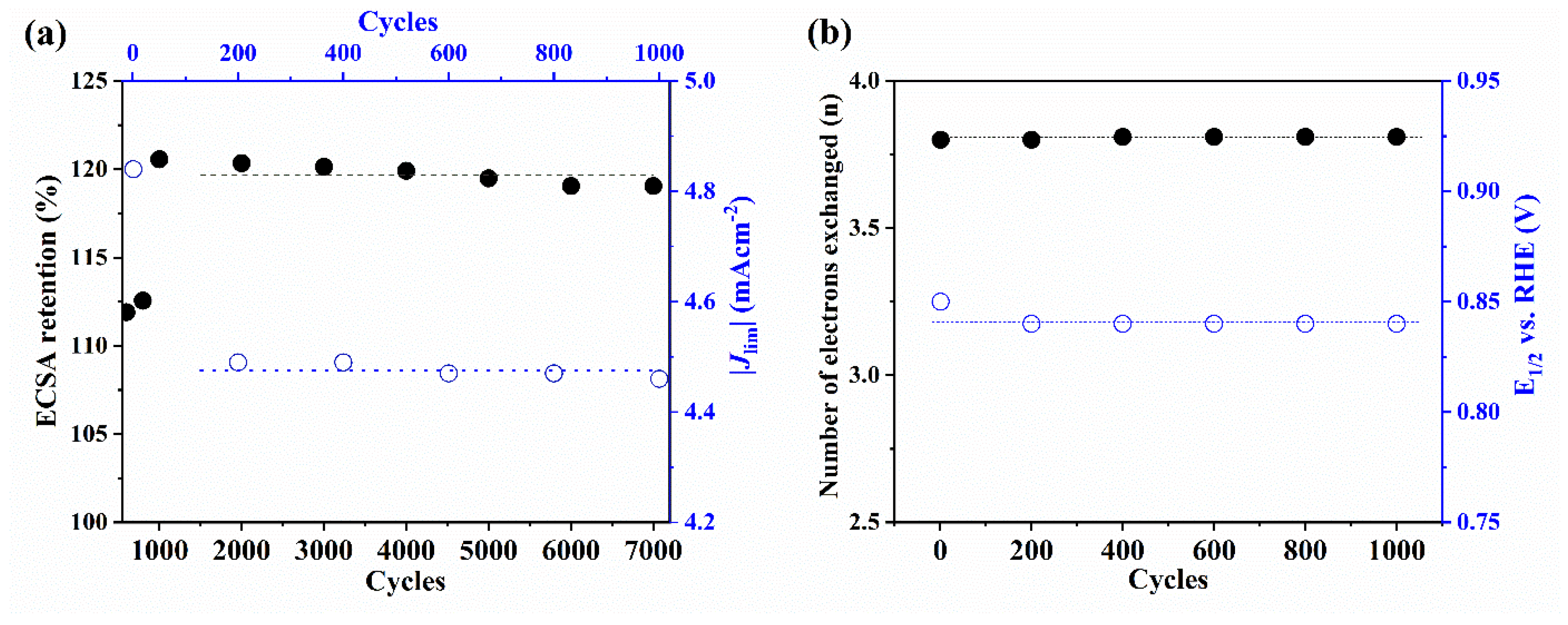 Catalysts 11 01525 g003