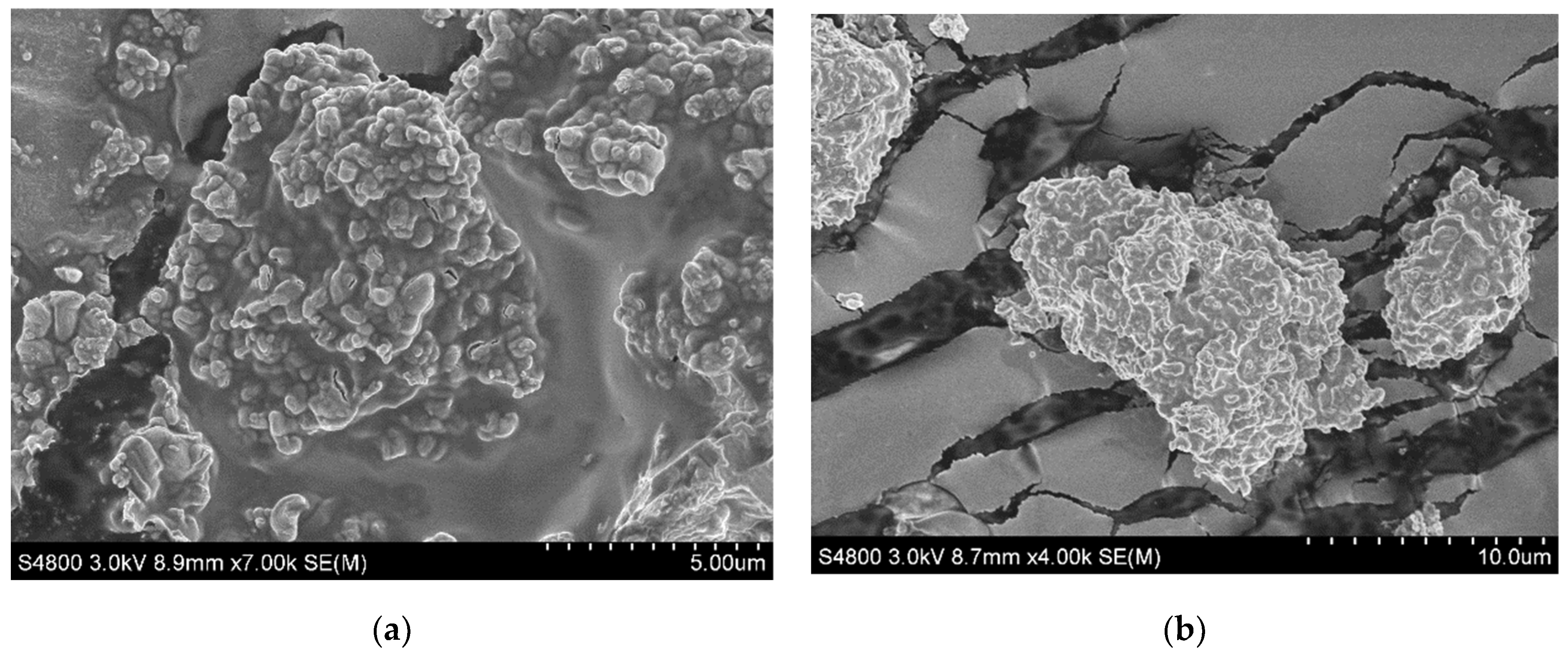 Catalysts 11 01535 g006