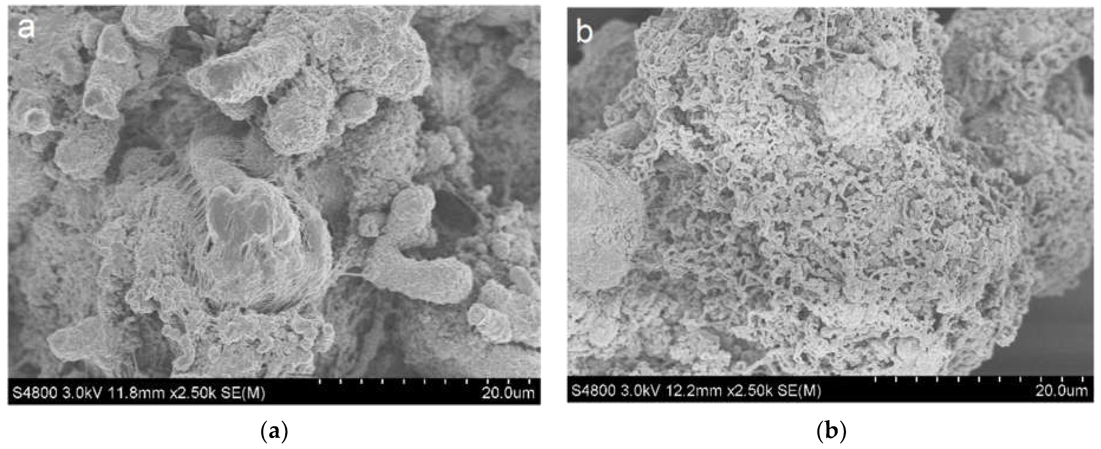 Catalysts 11 01535 g007