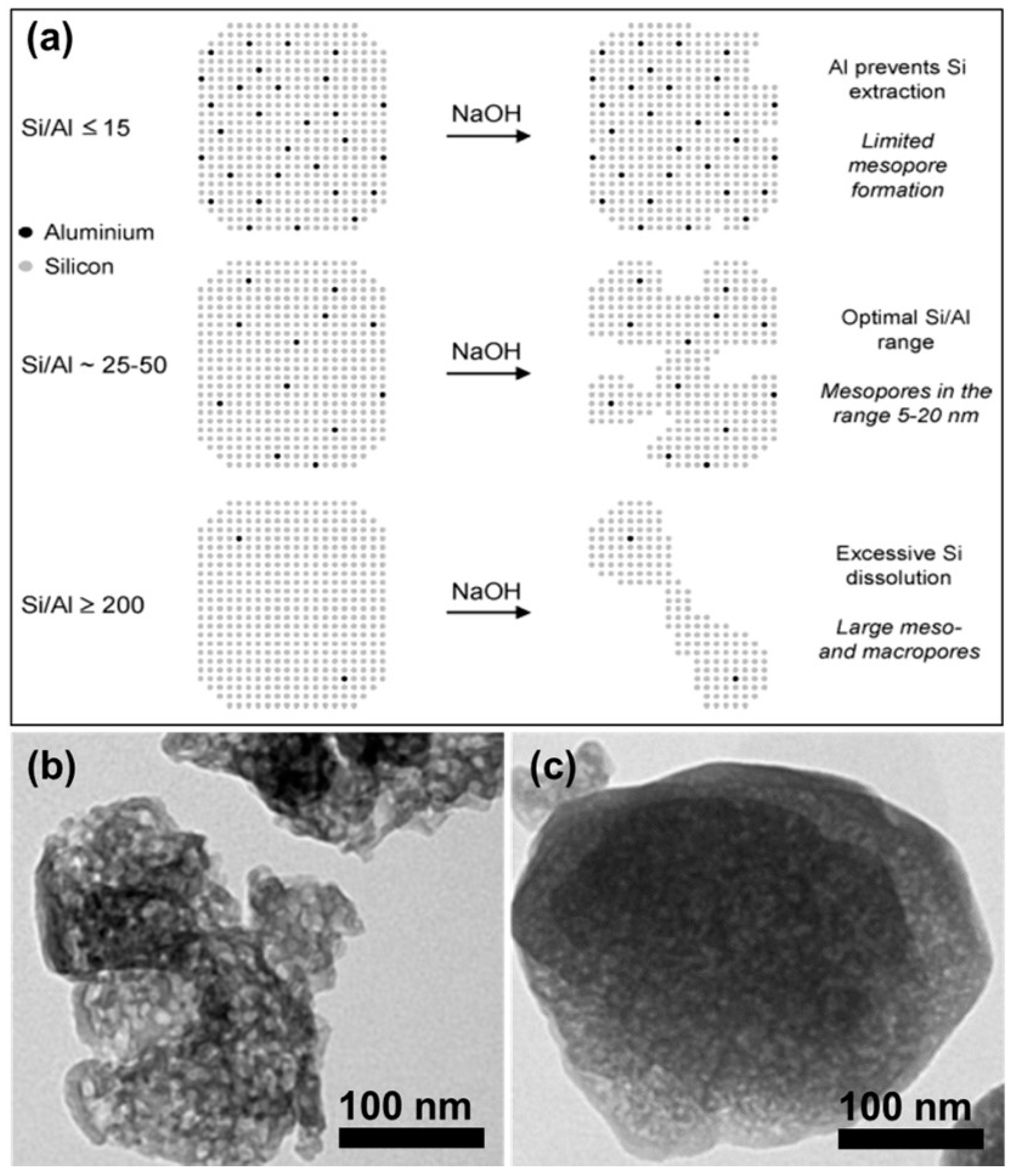 Catalysts 11 01541 g008