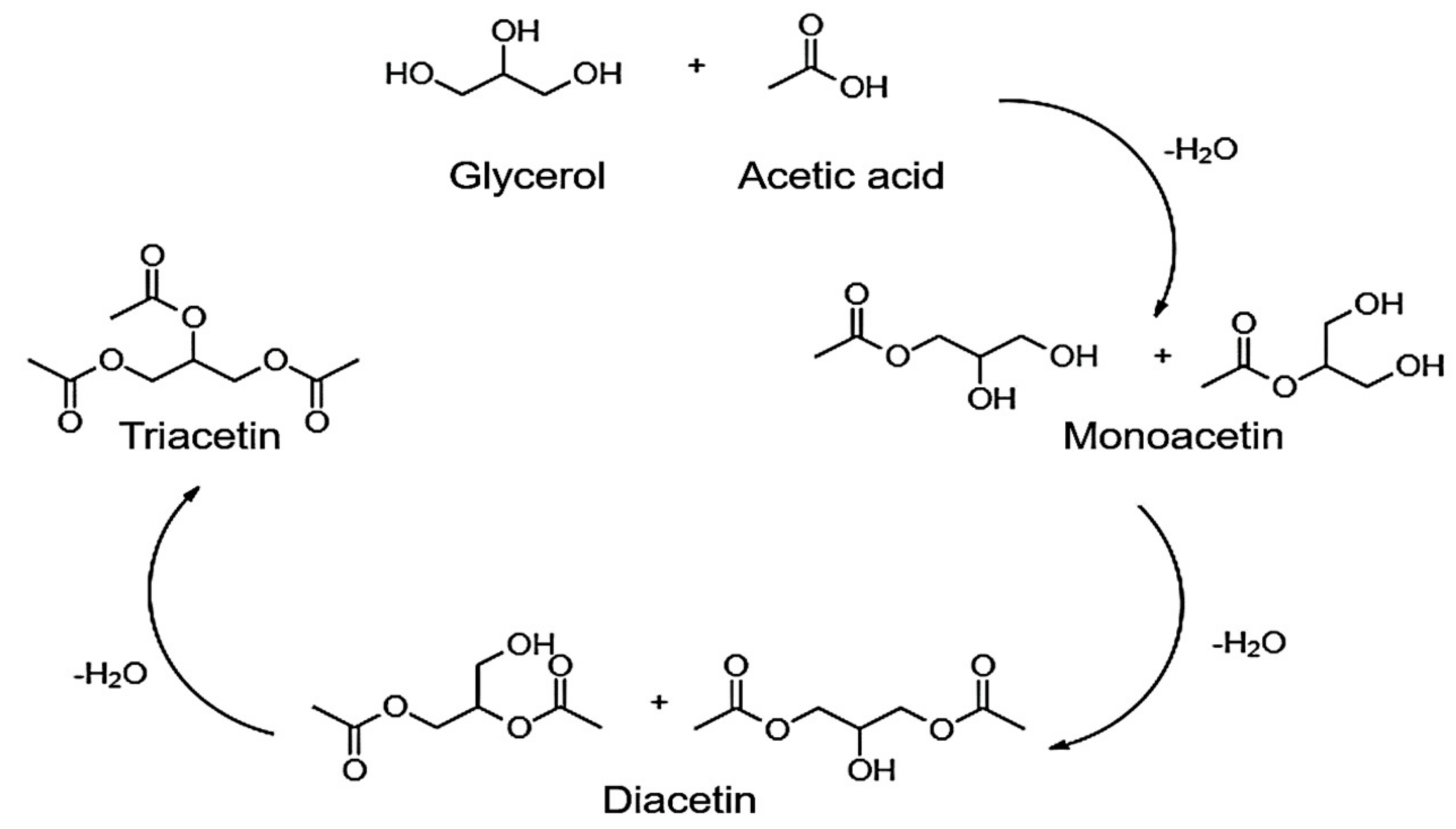 Catalysts 11 01542 g001