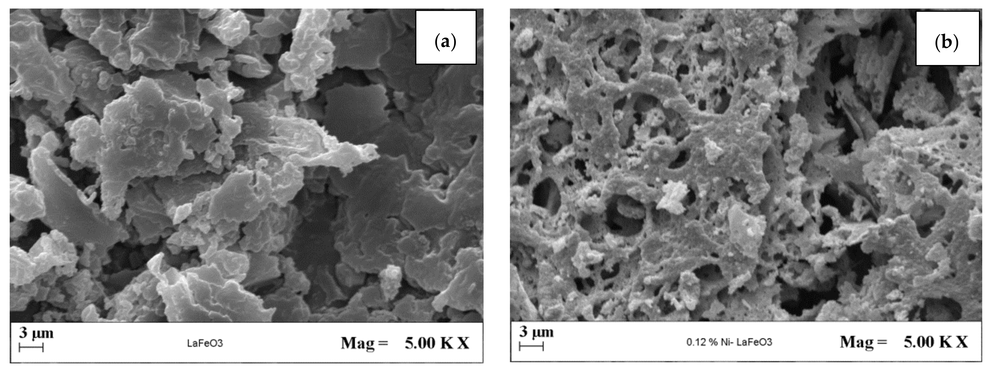 Catalysts 11 01558 g002 Catalysts 11 01558 g002
