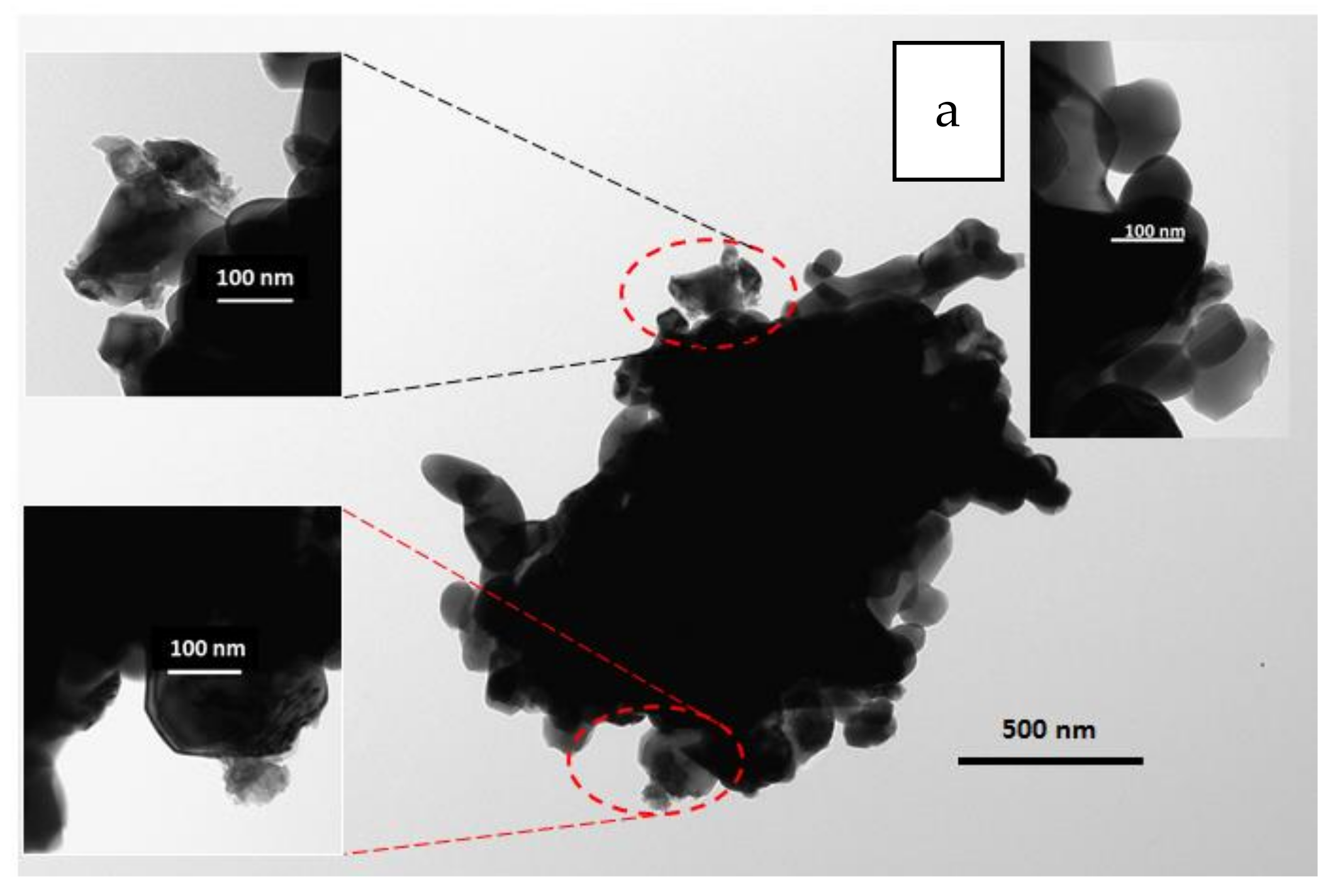 Catalysts 11 01558 g003a Catalysts 11 01558 g003a