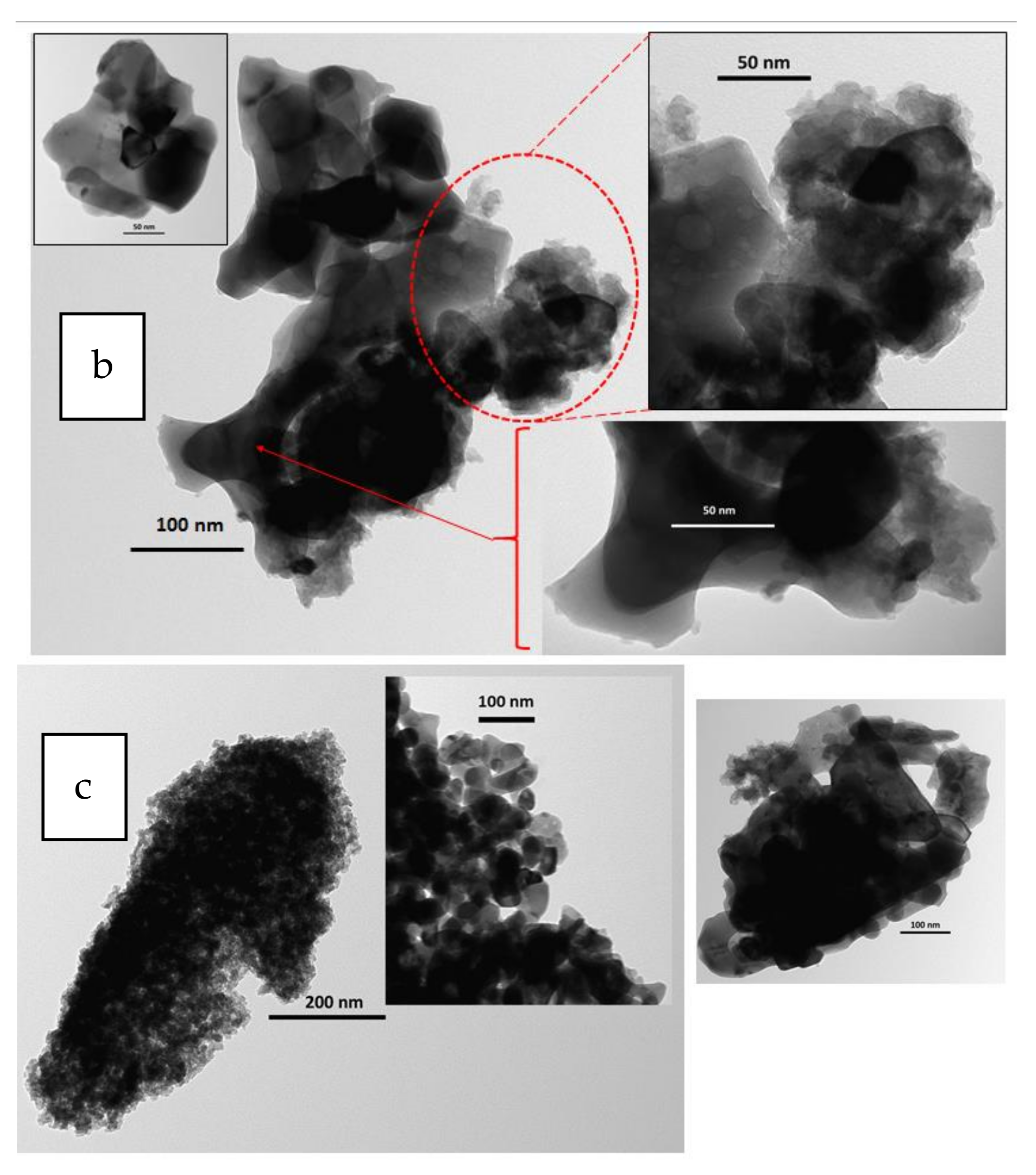 Catalysts 11 01558 g003b Catalysts 11 01558 g003b