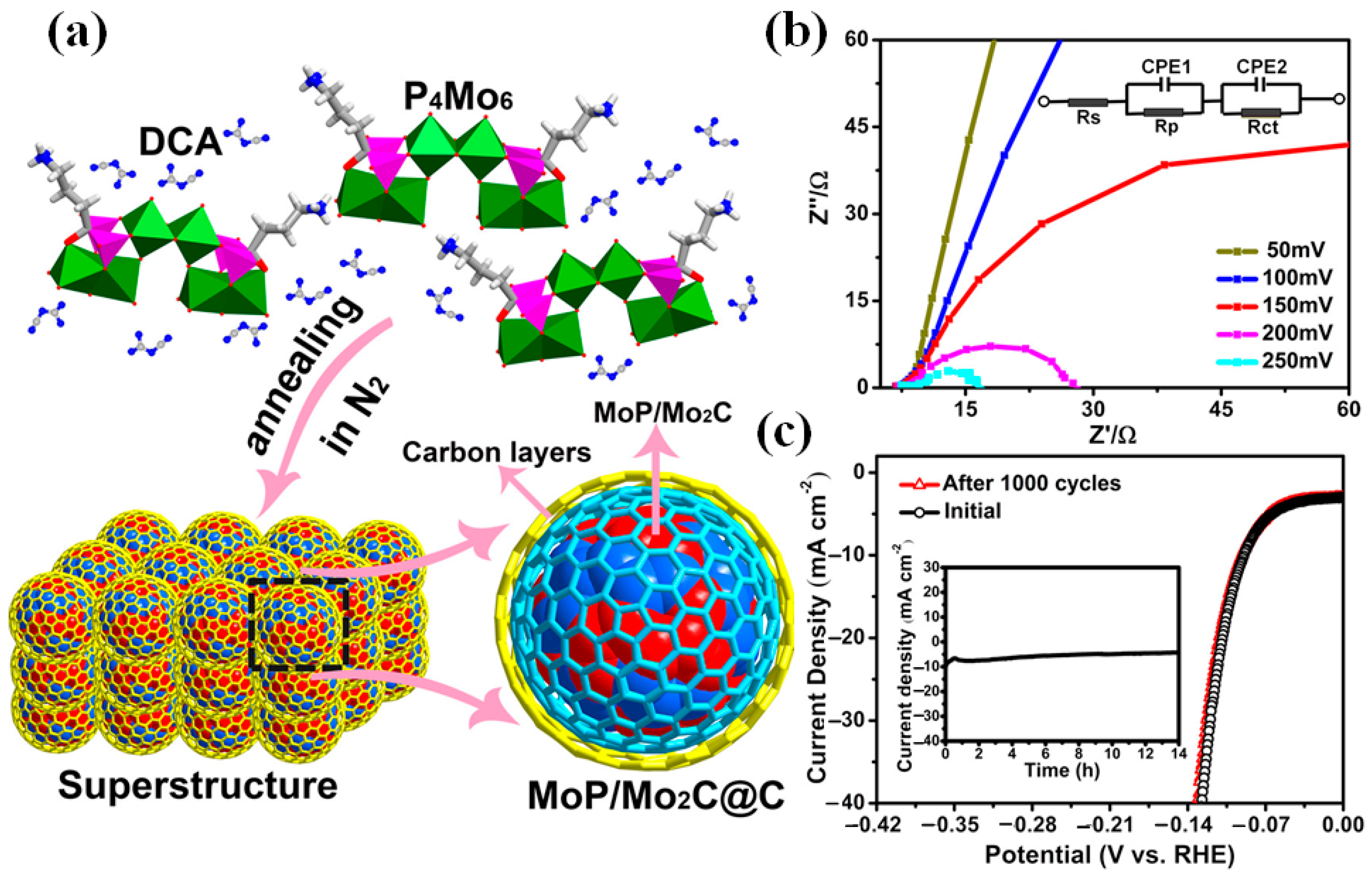 Catalysts 12 00002 g005
