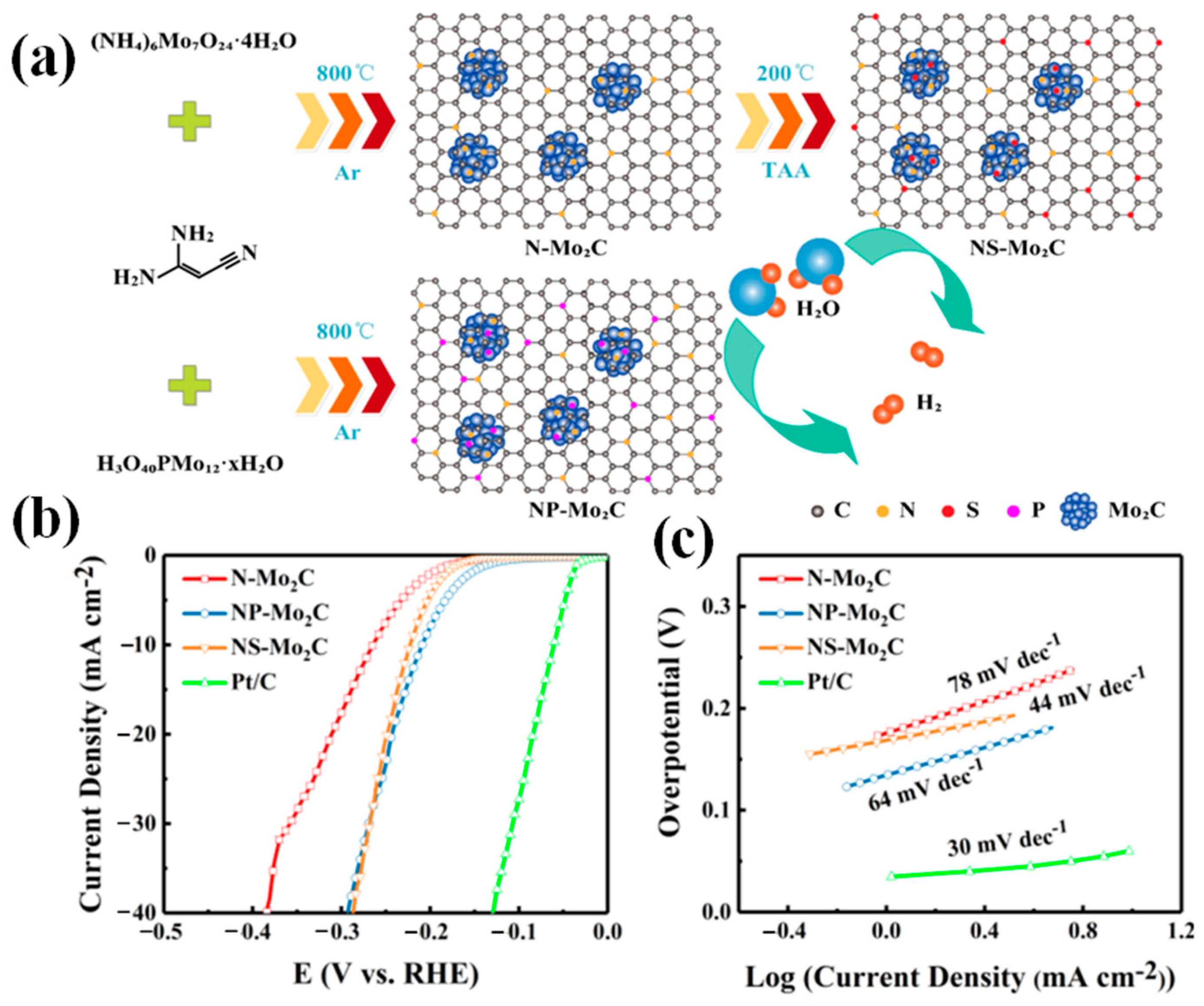 Catalysts 12 00002 g007
