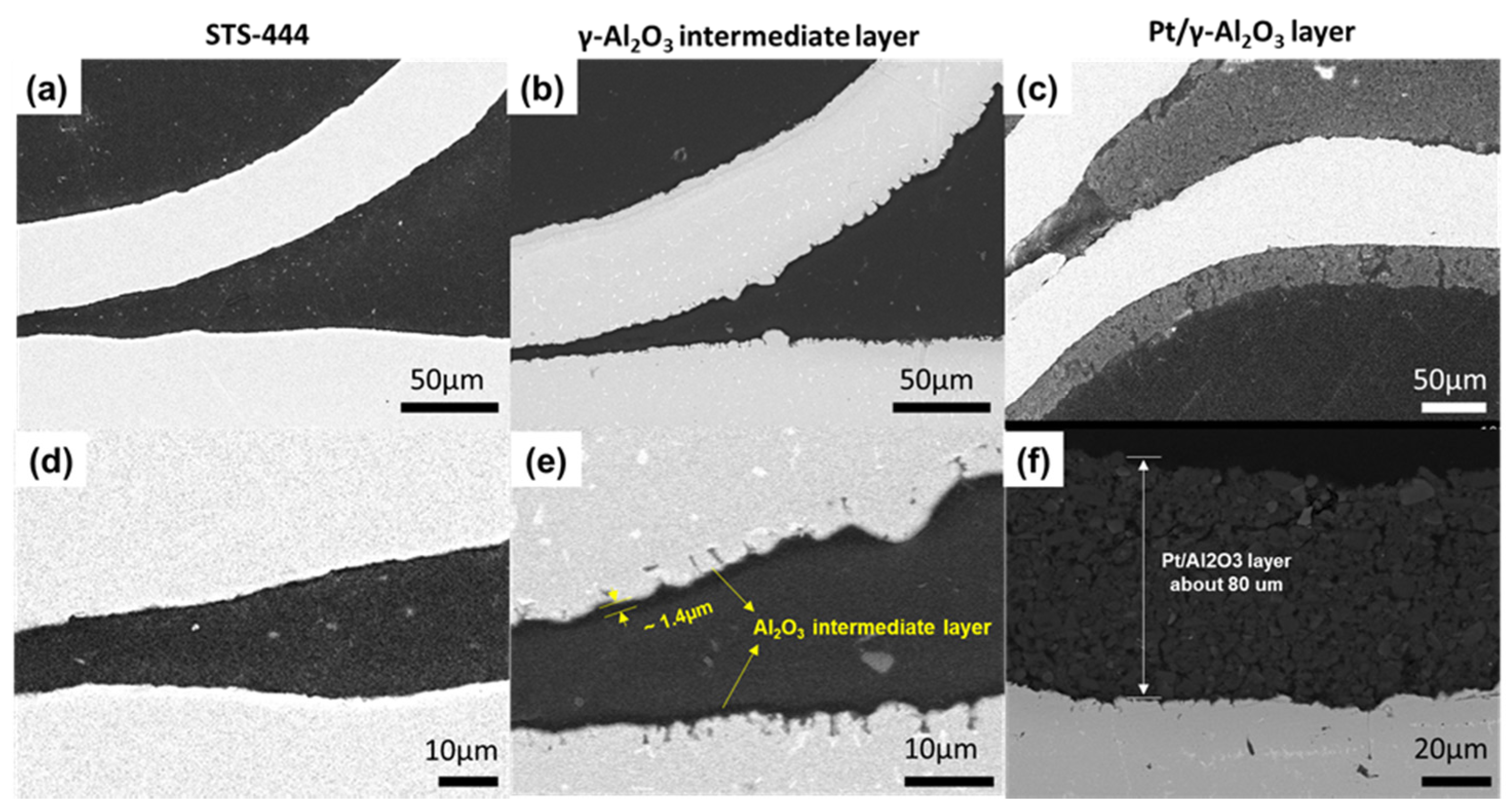 Catalysts 12 00038 g002