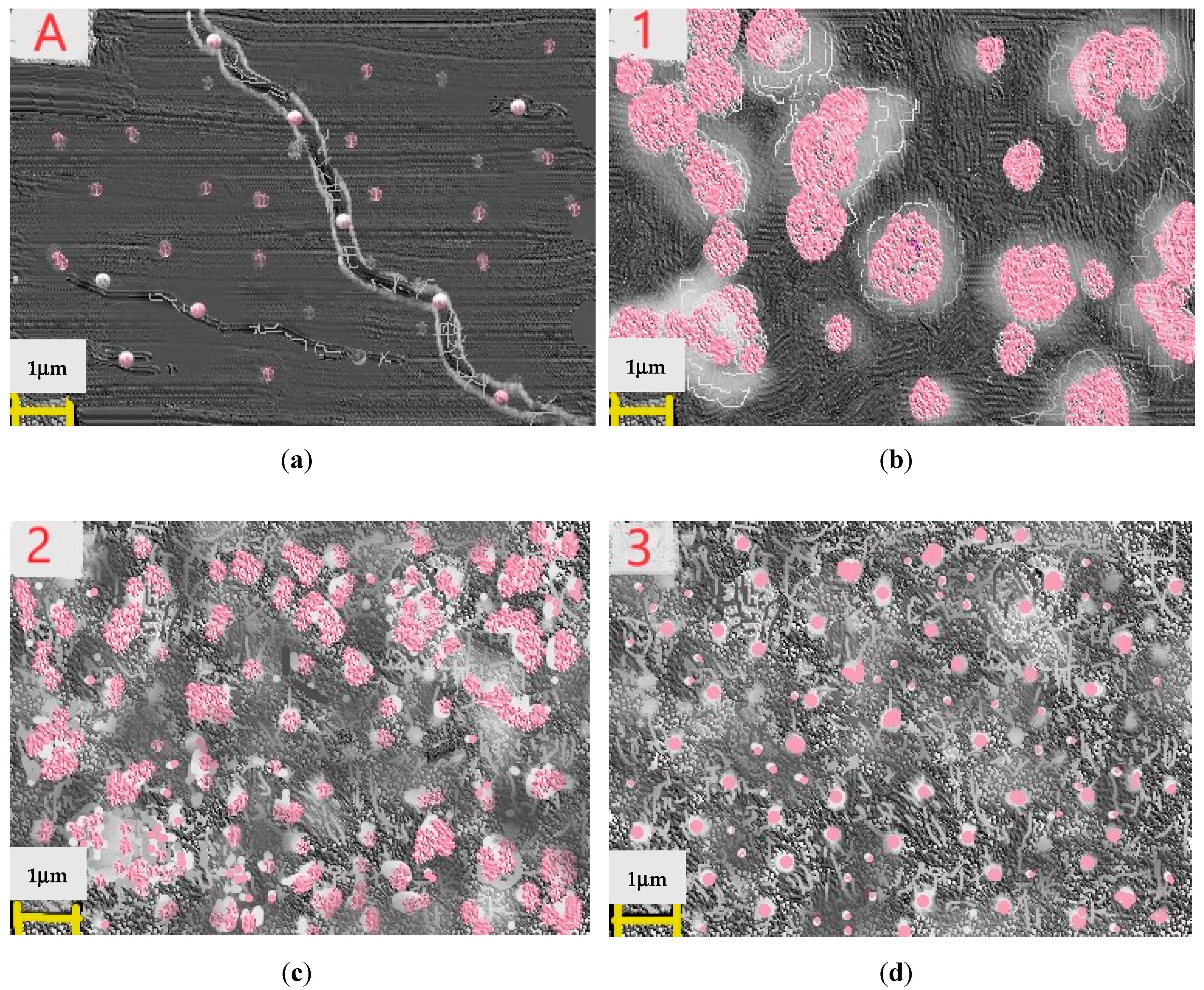 Catalysts 12 00039 g001