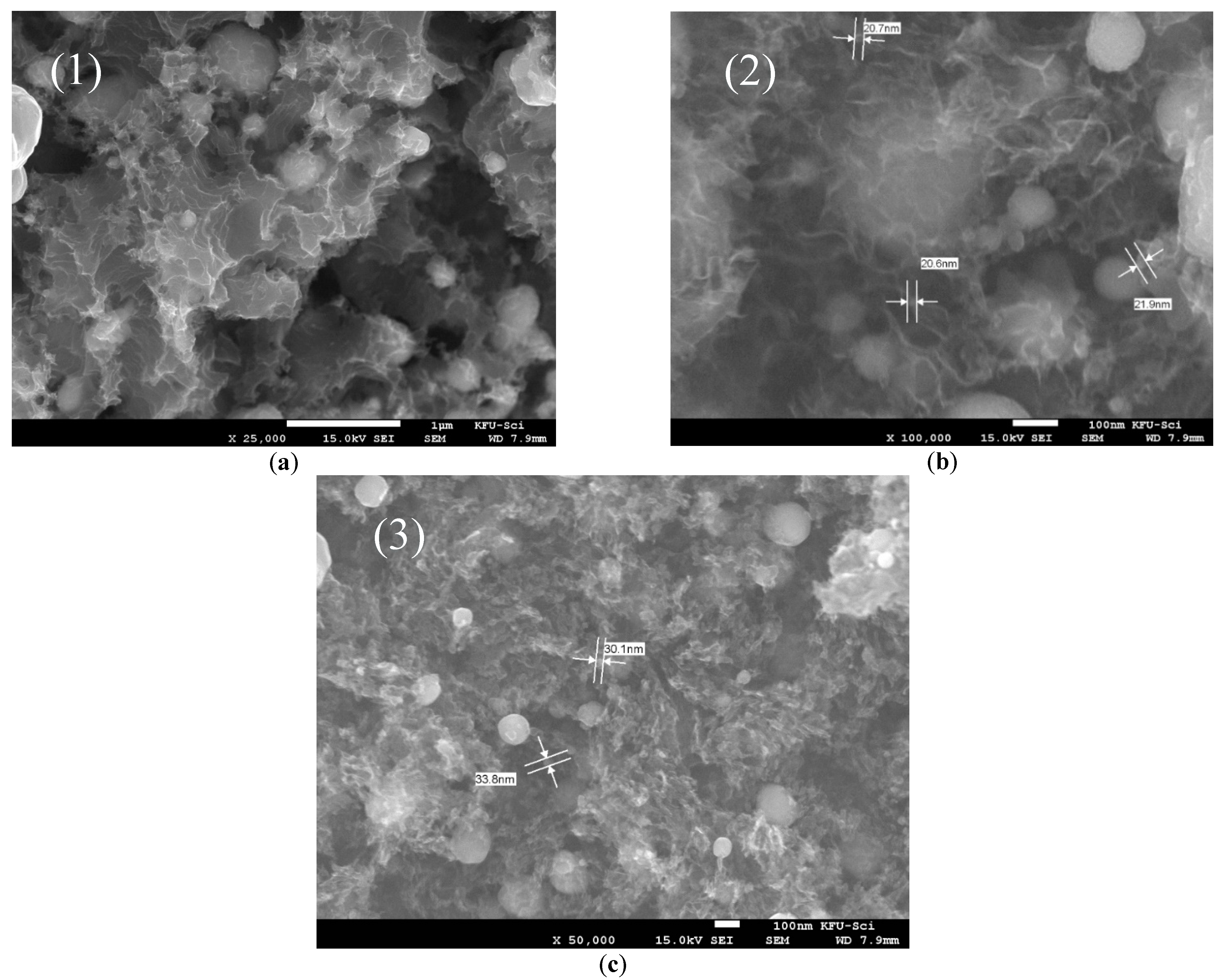 Catalysts 12 00039 g002