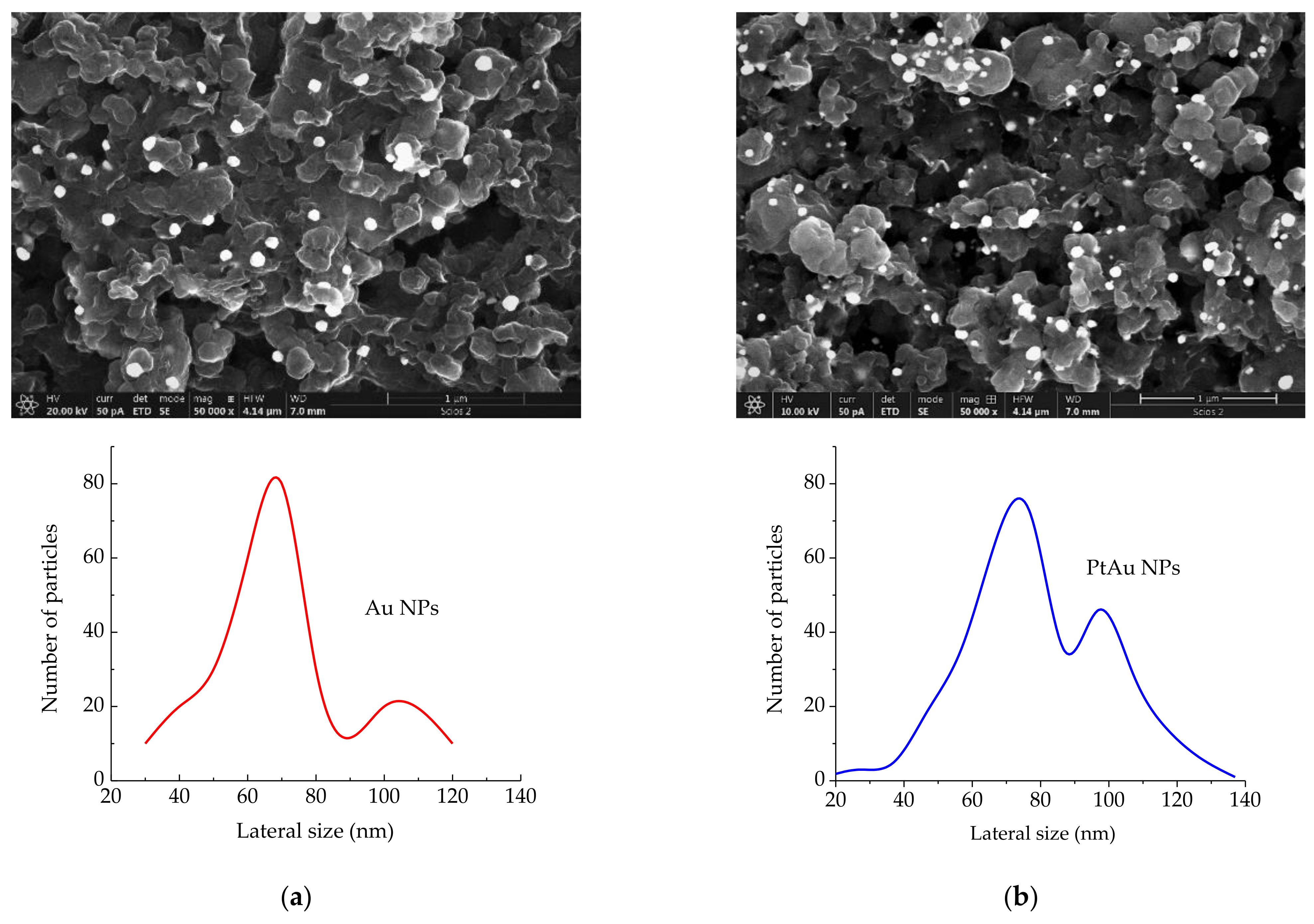 Catalysts 12 00043 g001