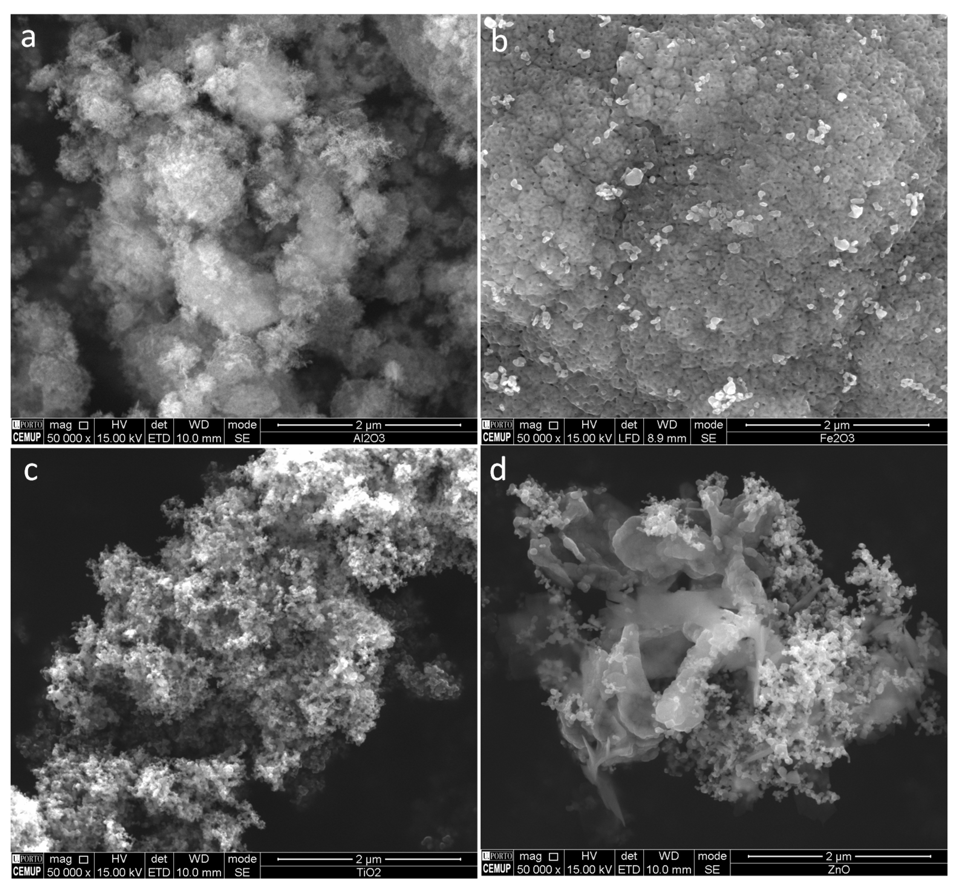 Catalysts 12 00045 g001