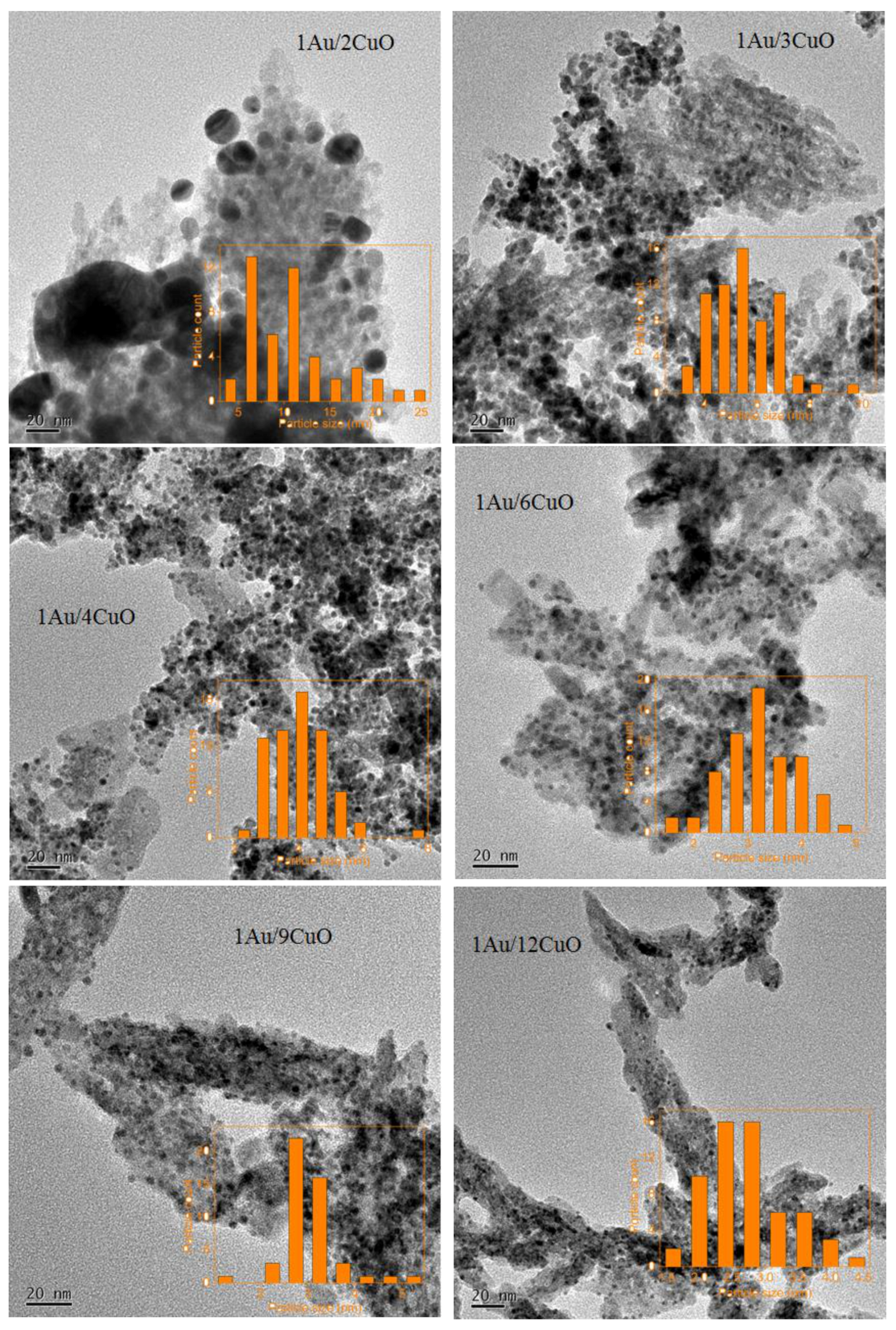 Catalysts 12 00104 g004