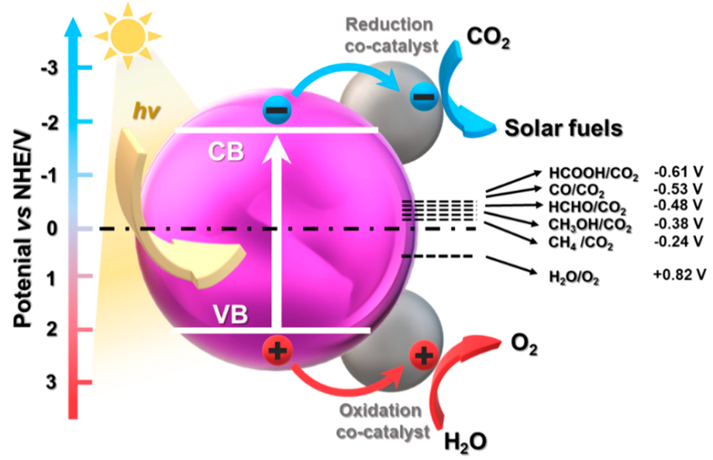 Catalysts 12 00110 g010