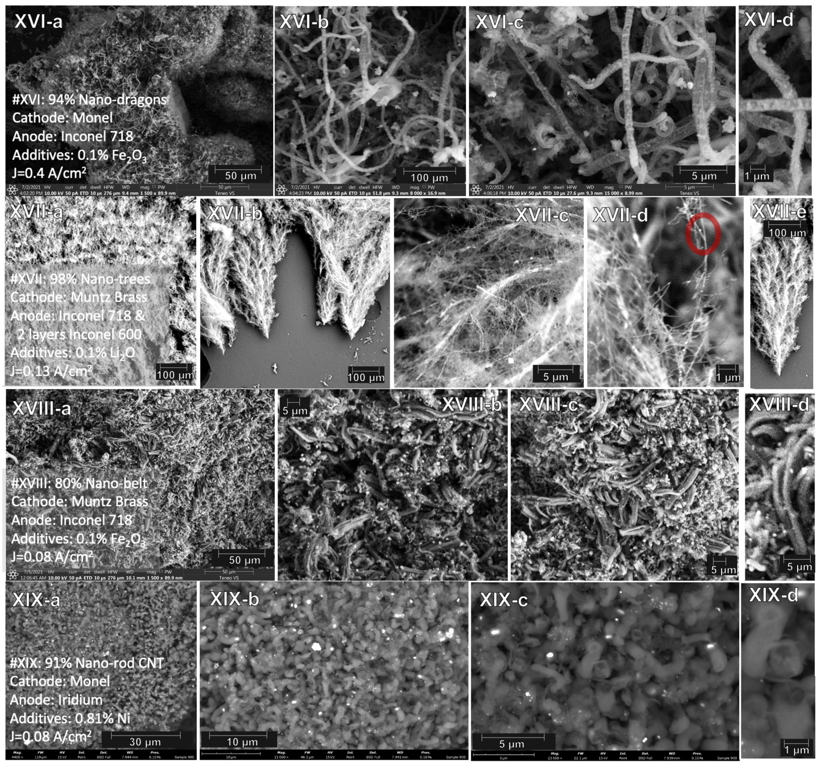 Catalysts 12 00125 g008 Catalysts 12 00125 g008