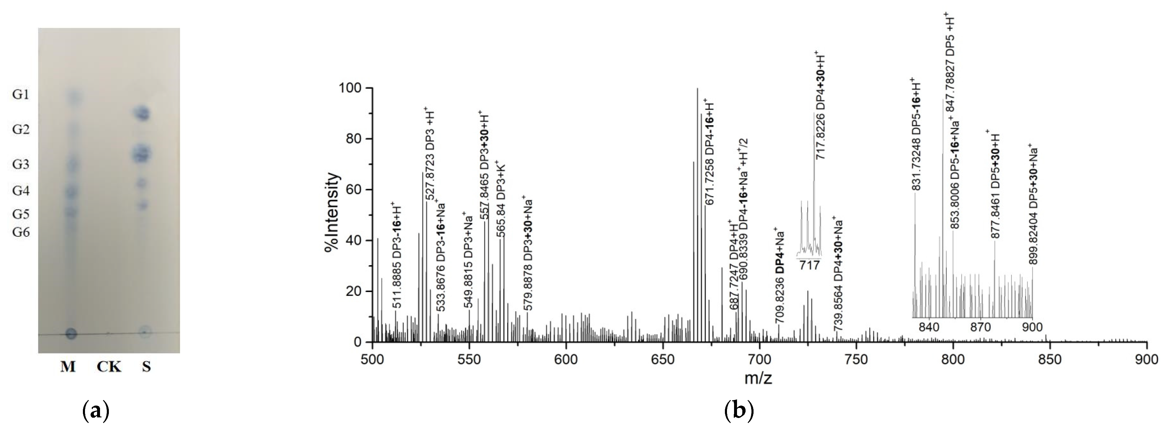 Catalysts 12 00139 g005