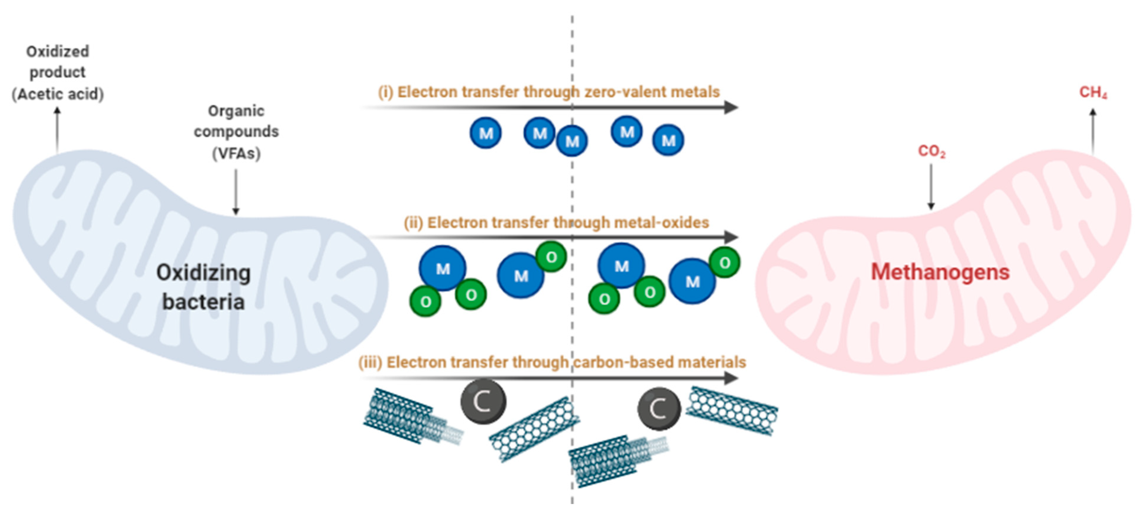 Catalysts 12 00186 g004