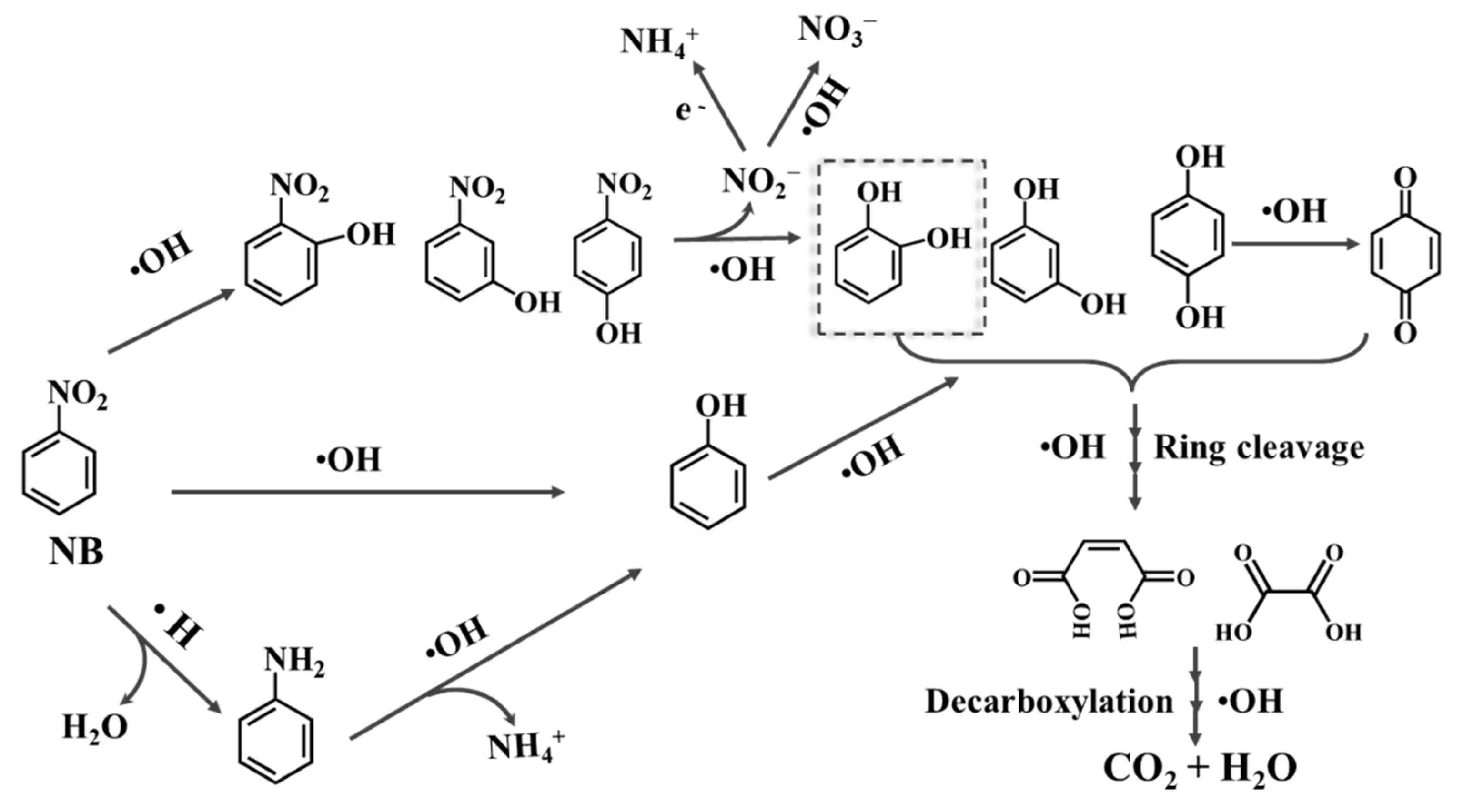 Catalysts 12 00190 g005