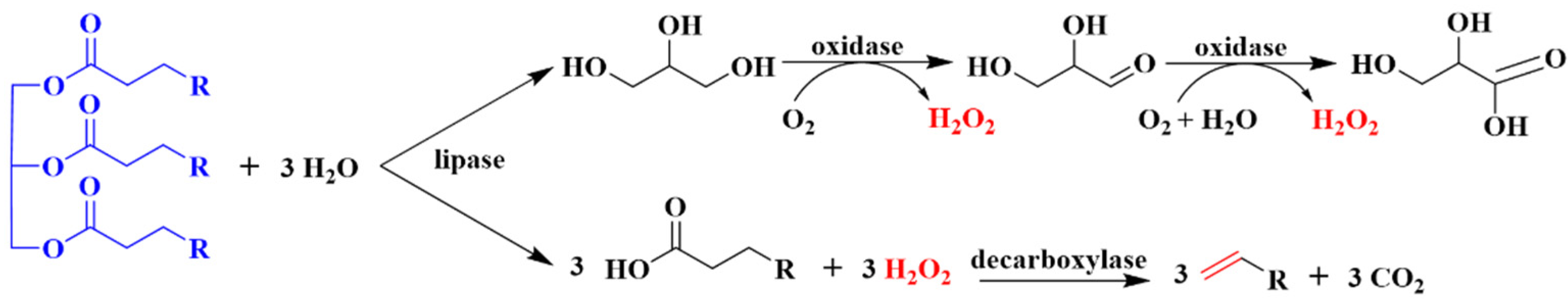 Catalysts 12 00237 g007