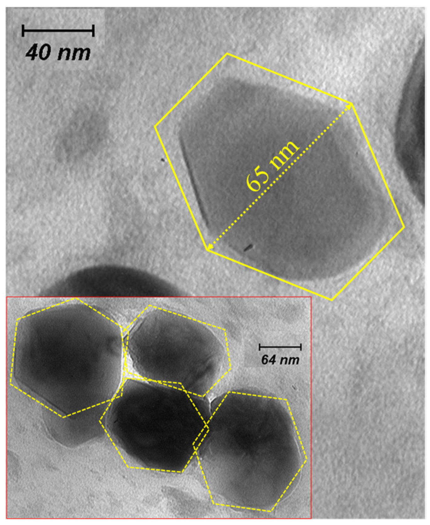 Catalysts 12 00239 g008