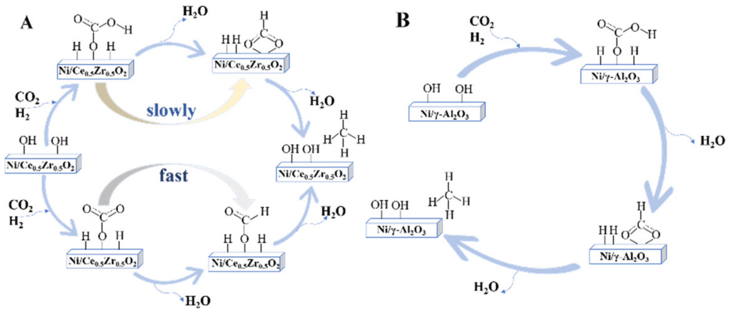 Catalysts 12 00244 g005