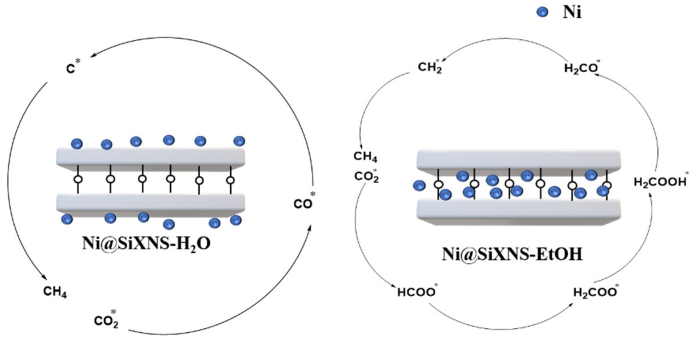 Catalysts 12 00244 g006
