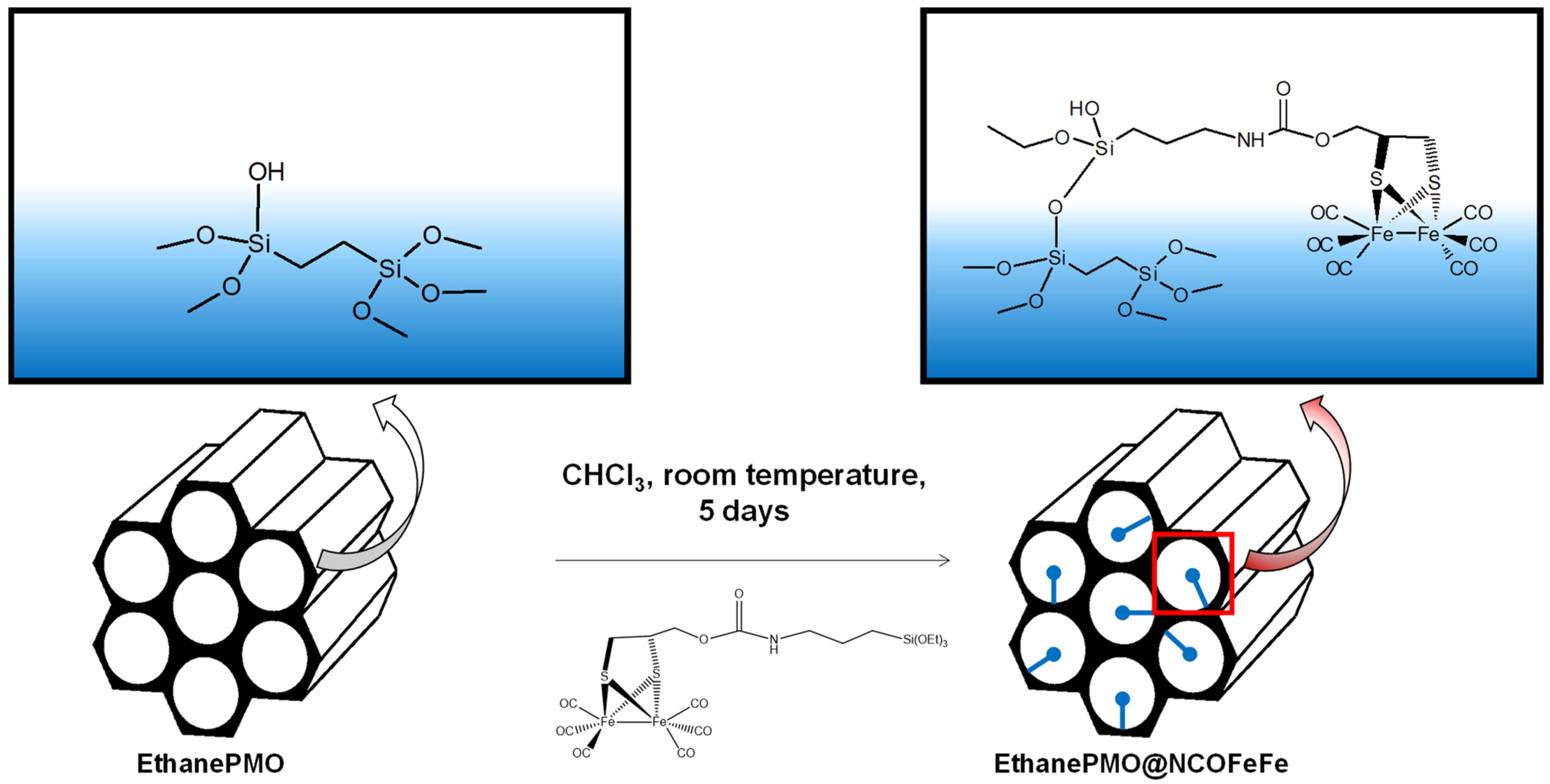 Catalysts 12 00254 g003