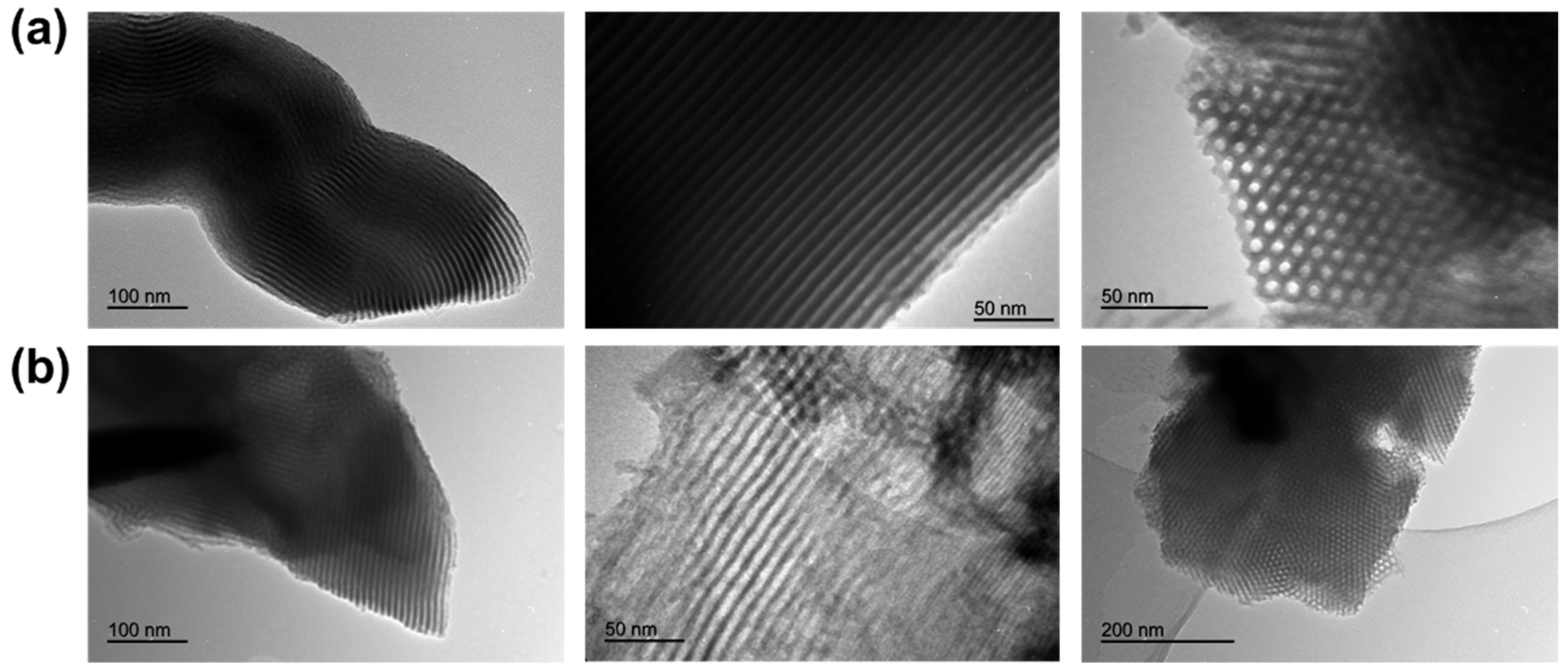 Catalysts 12 00254 g006