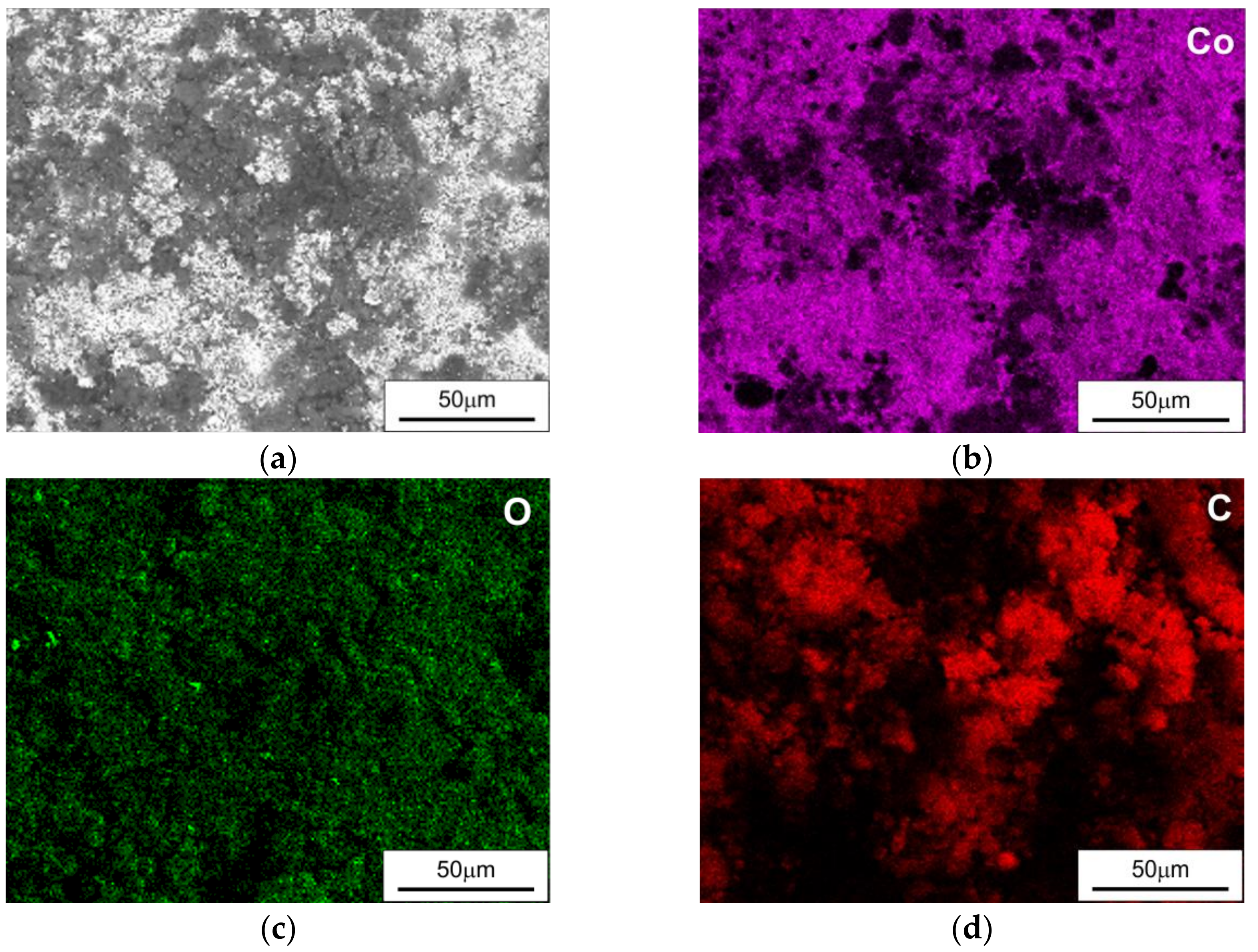 Catalysts 12 00278 g004