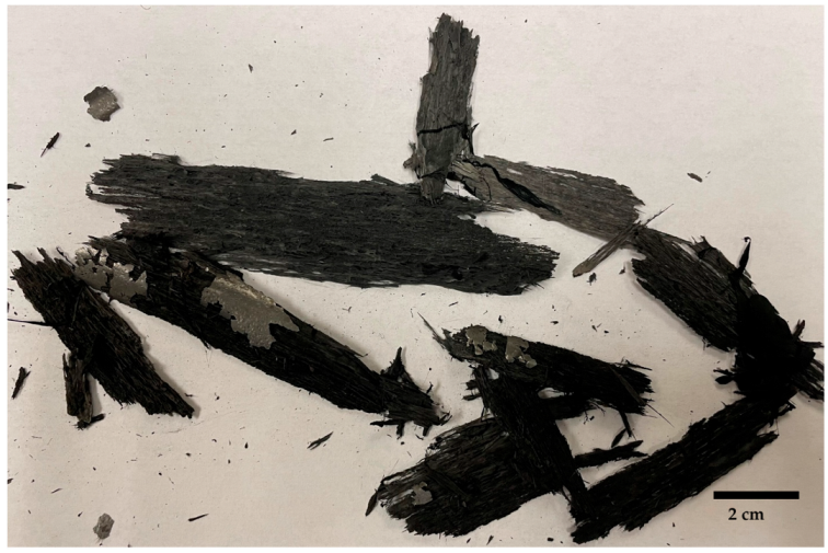 Catalysts 12 00287 g010