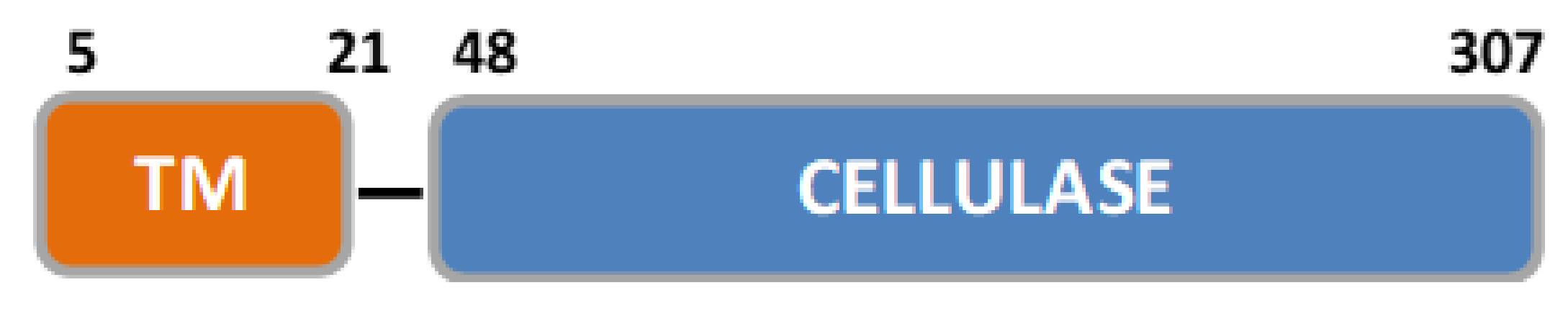 Catalysts 12 00302 g001