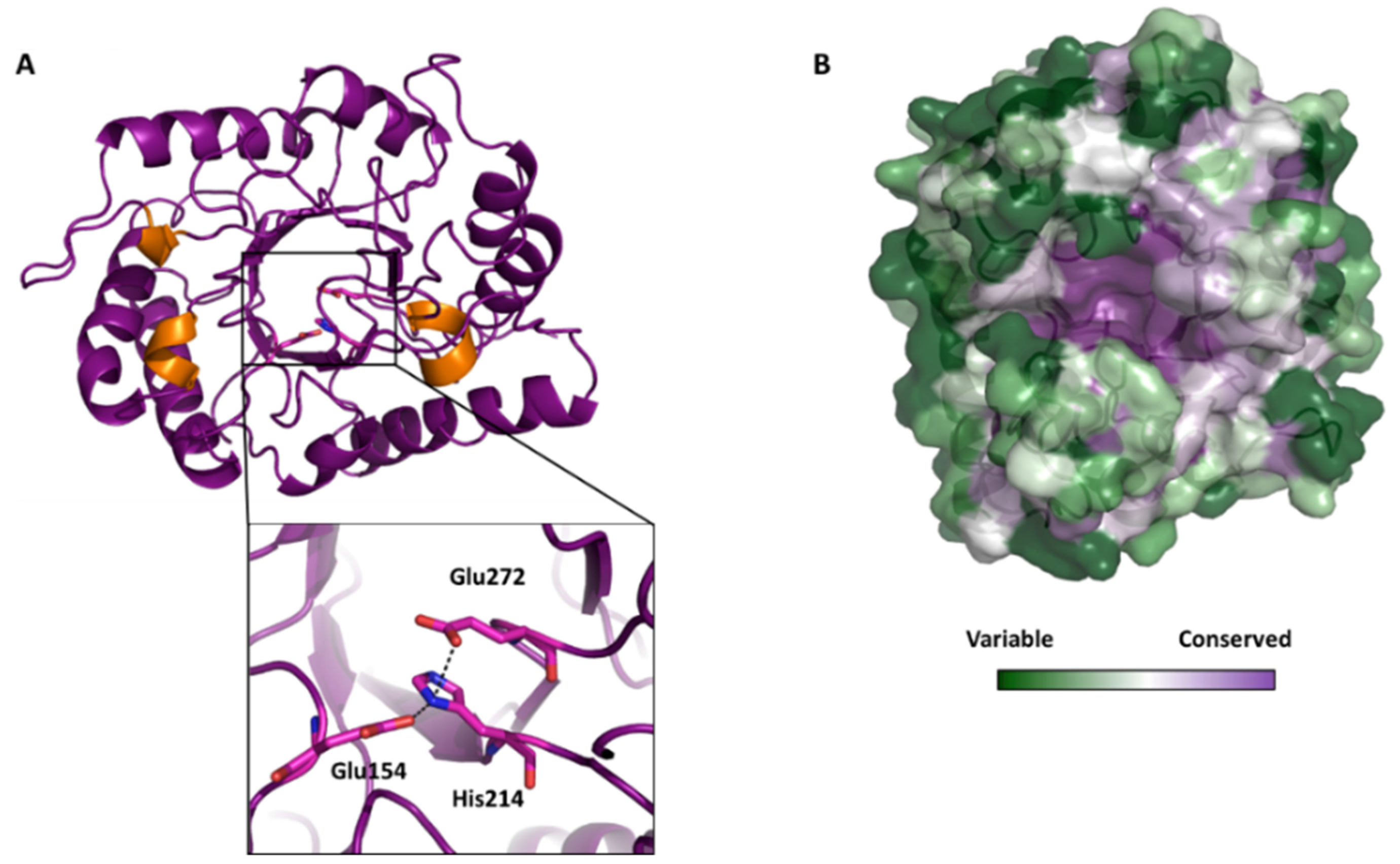 Catalysts 12 00302 g003
