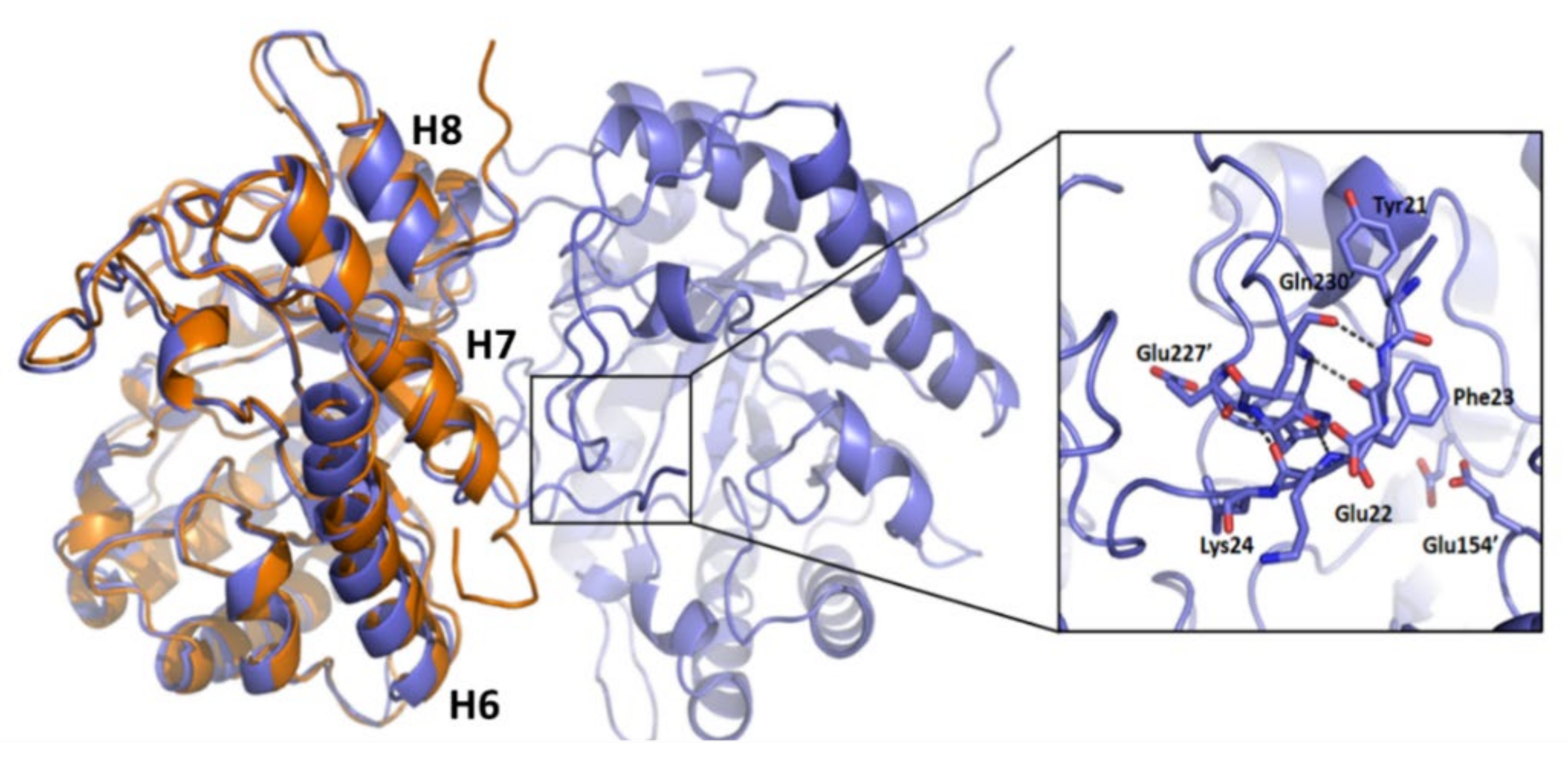 Catalysts 12 00302 g004