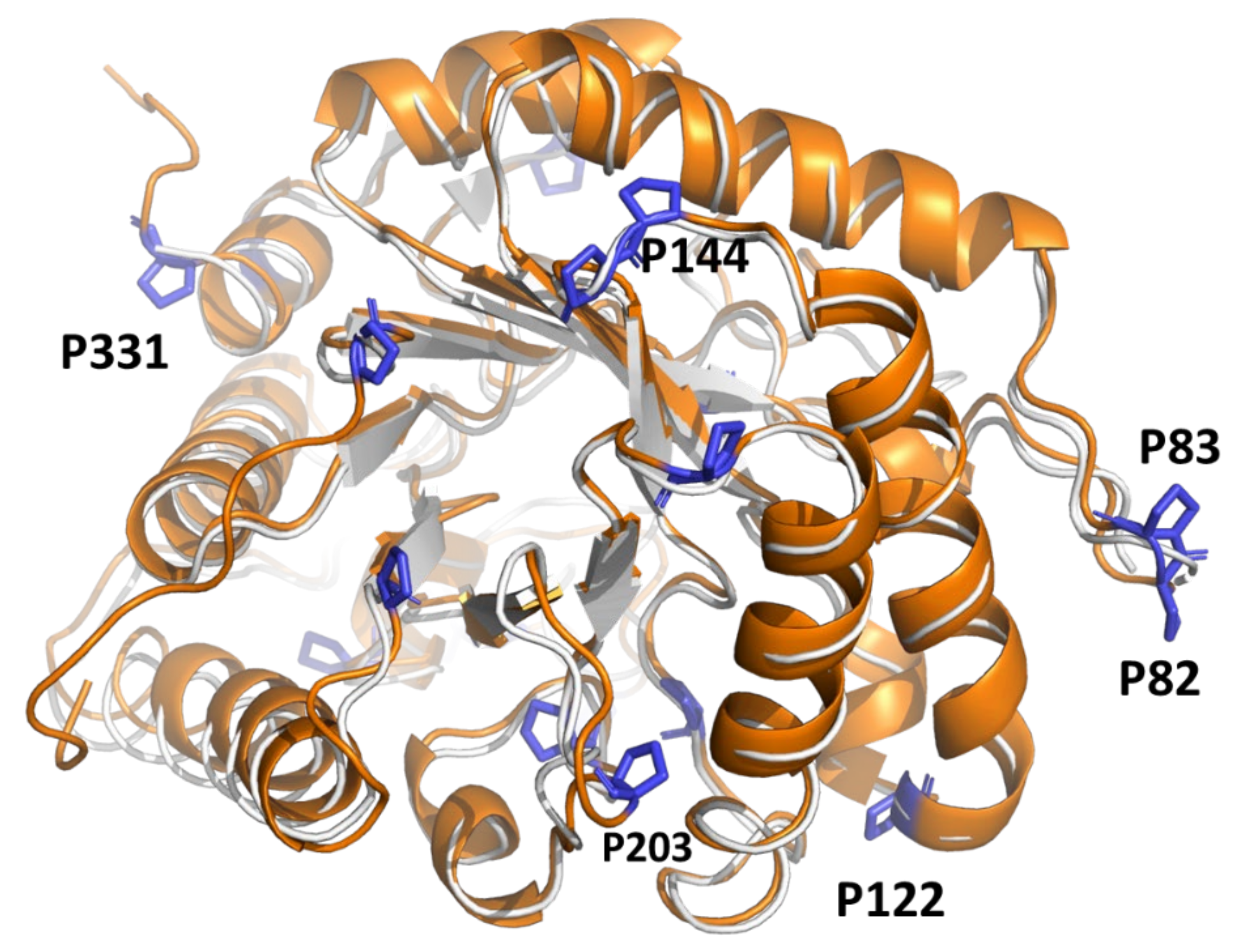 Catalysts 12 00302 g005