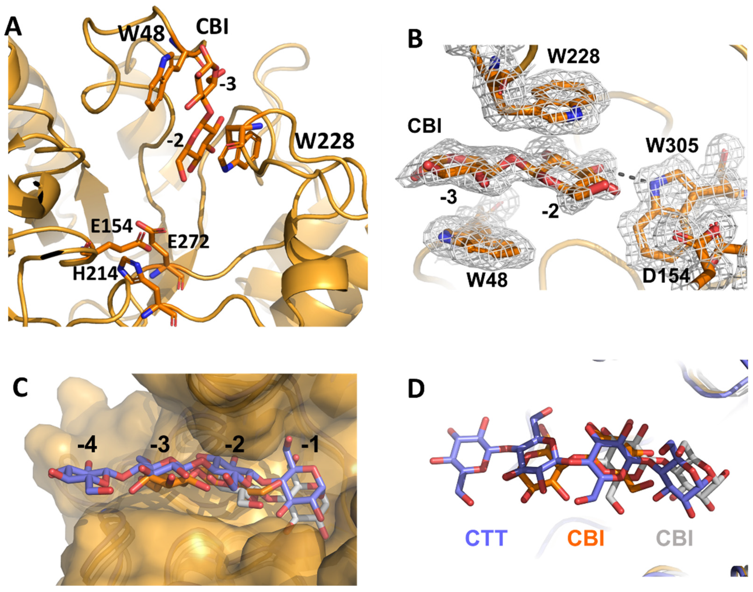 Catalysts 12 00302 g006